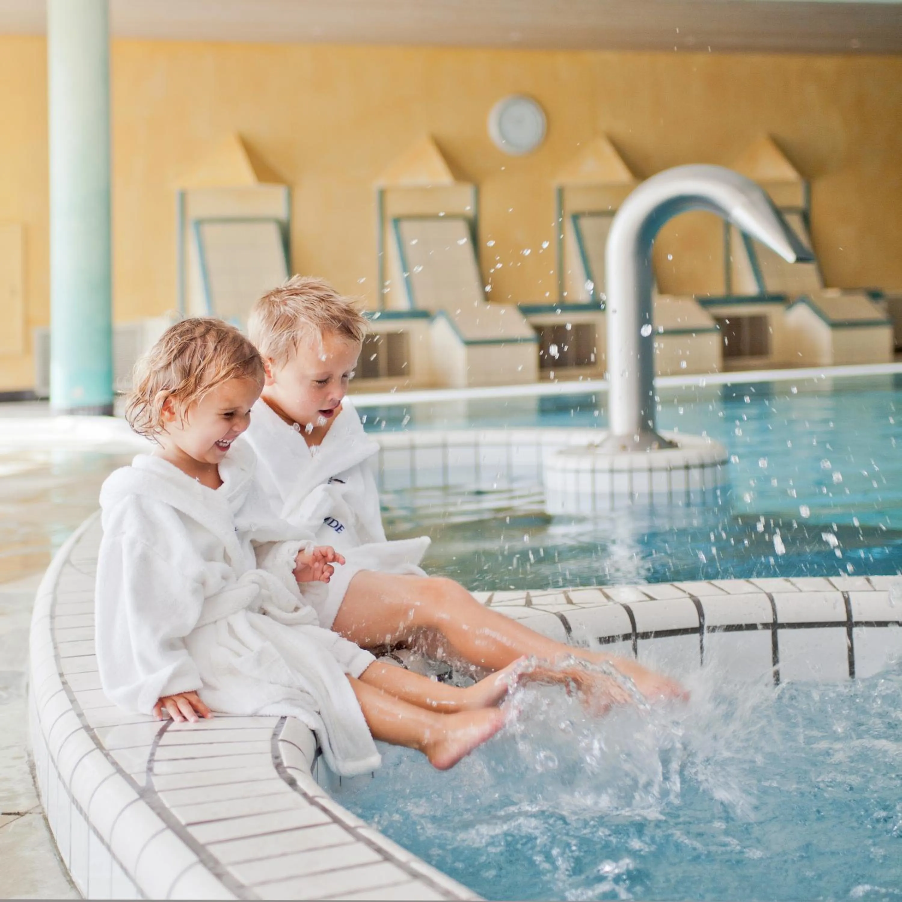 Swimming pool in Landgoed De Holtweijde