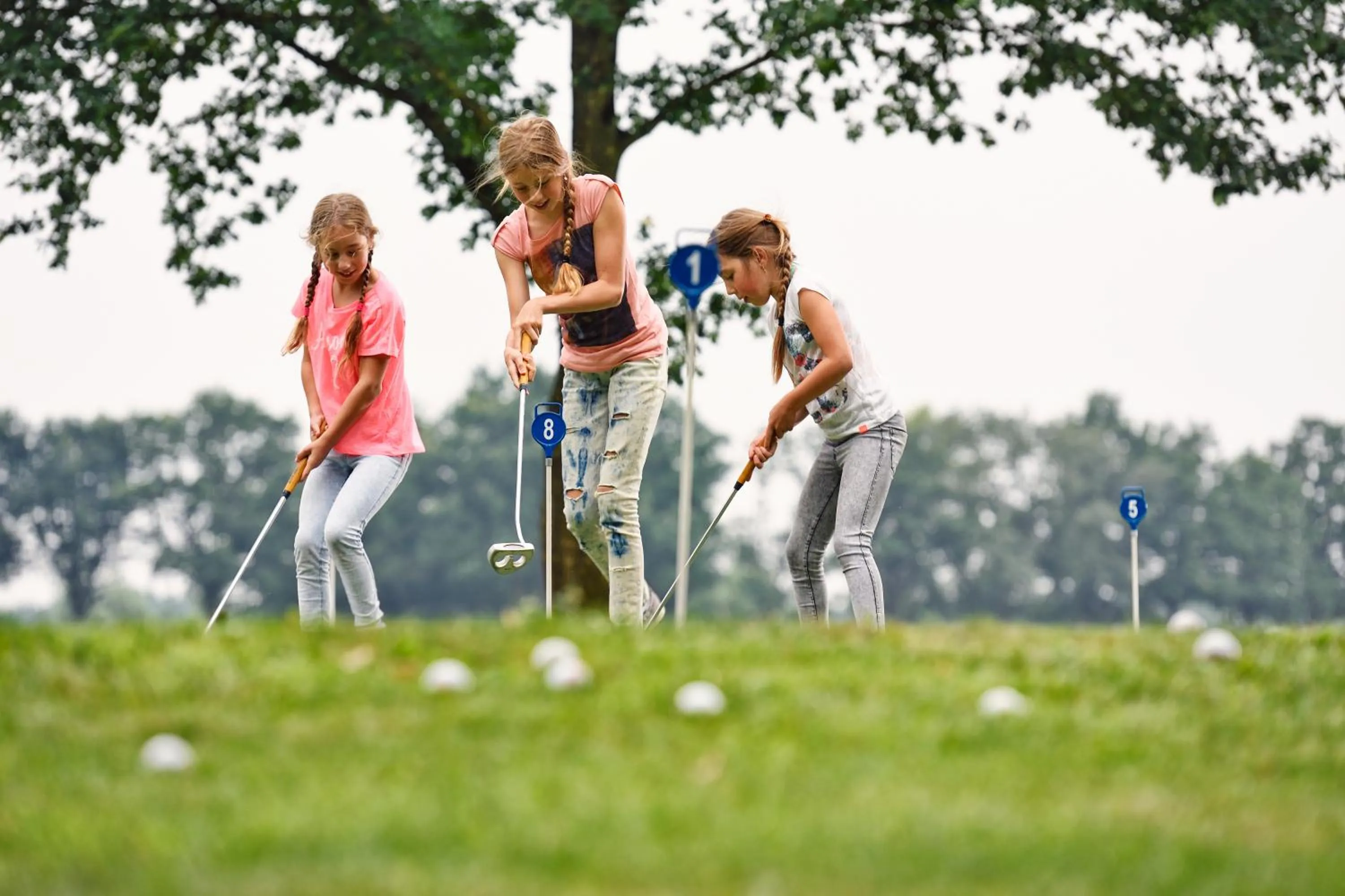 Golfcourse in Landgoed De Holtweijde