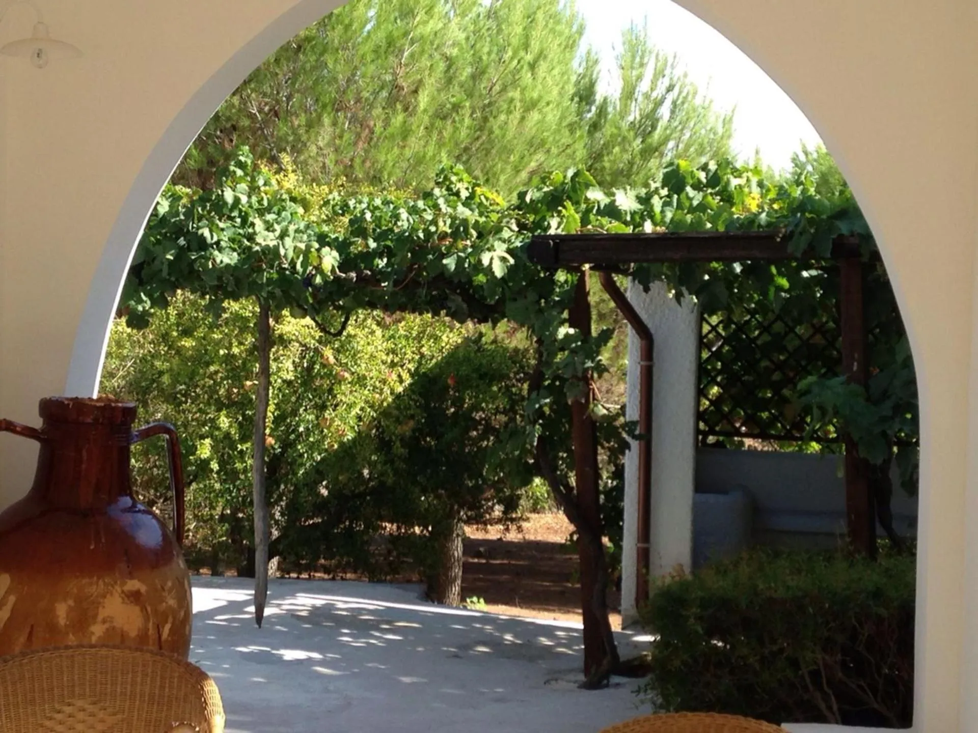 Garden in La Vecchia Tabaccheria B&B