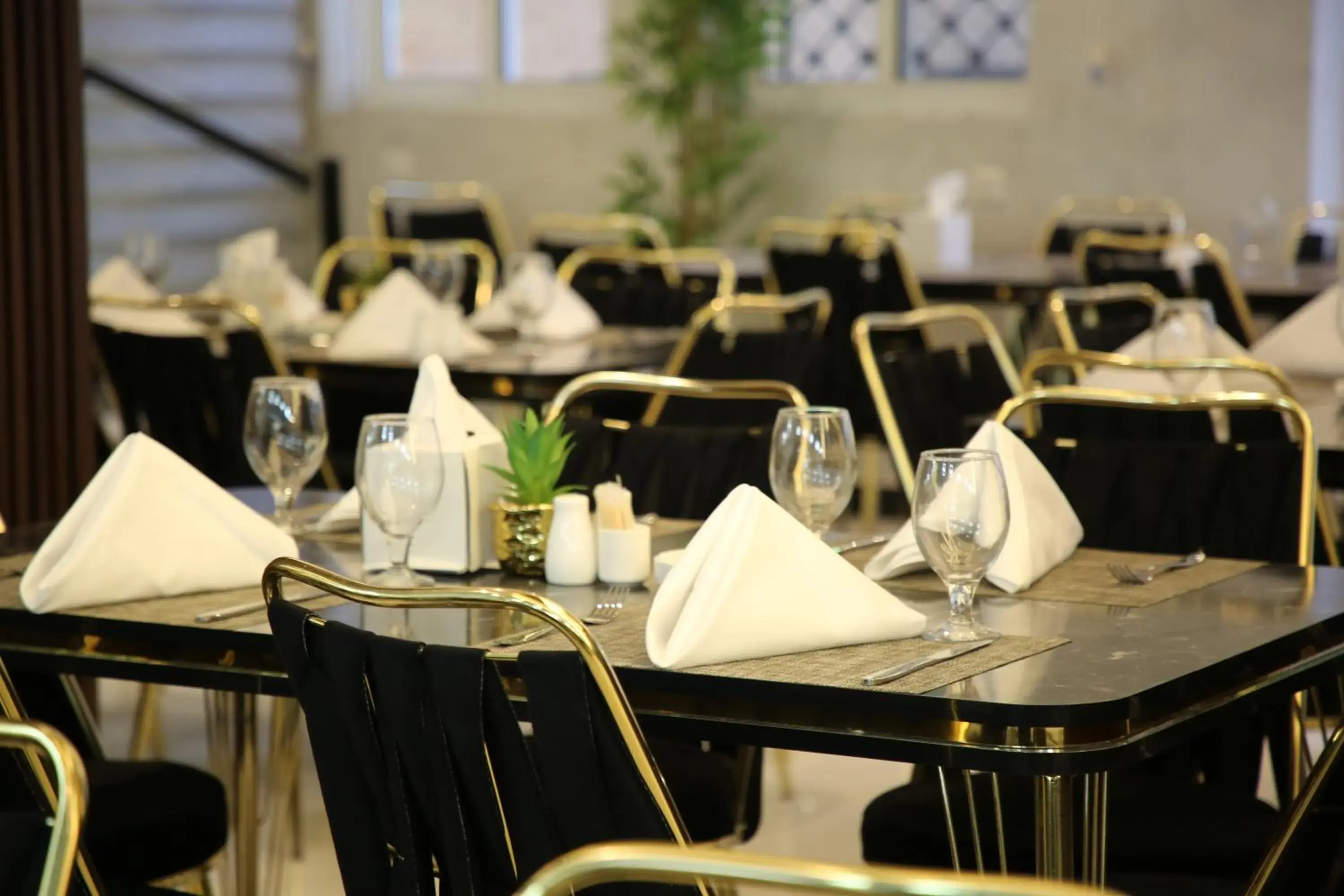 Restaurant/places to eat in Kaya Hotel Amman Restaurant/places to eat in Kaya Hotel Amman