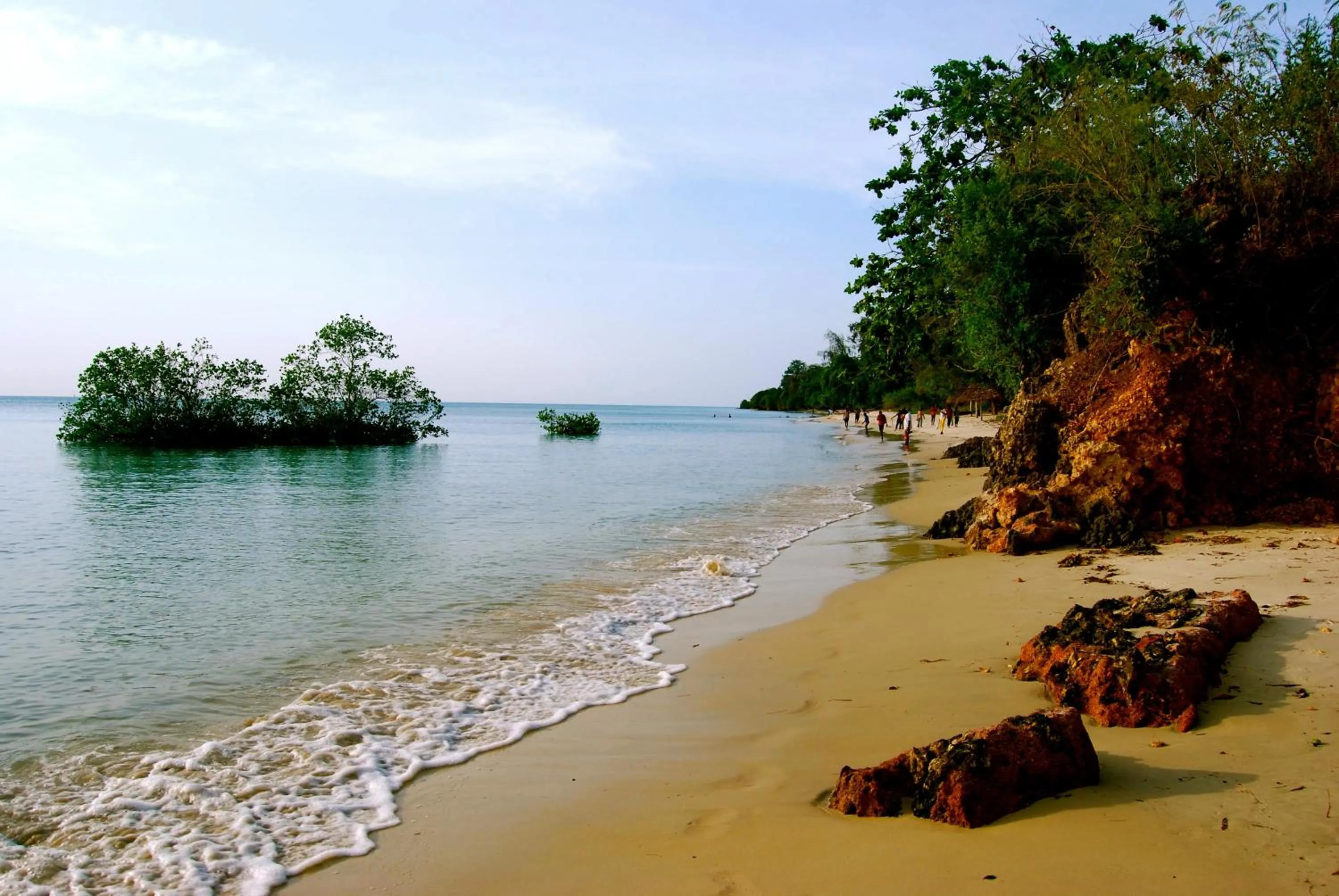 Beach in Mangrove Lodge
