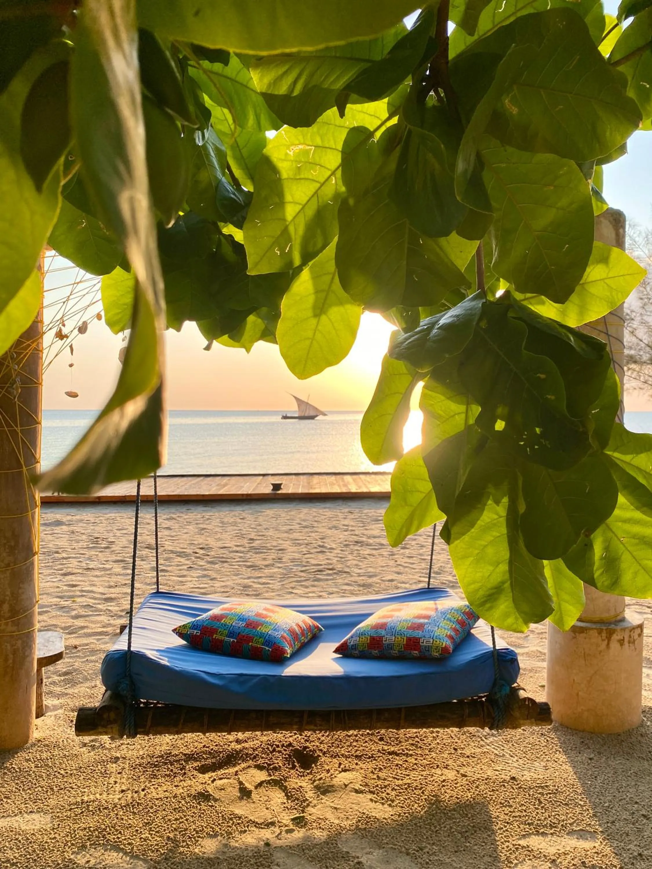 Beach in Mangrove Lodge