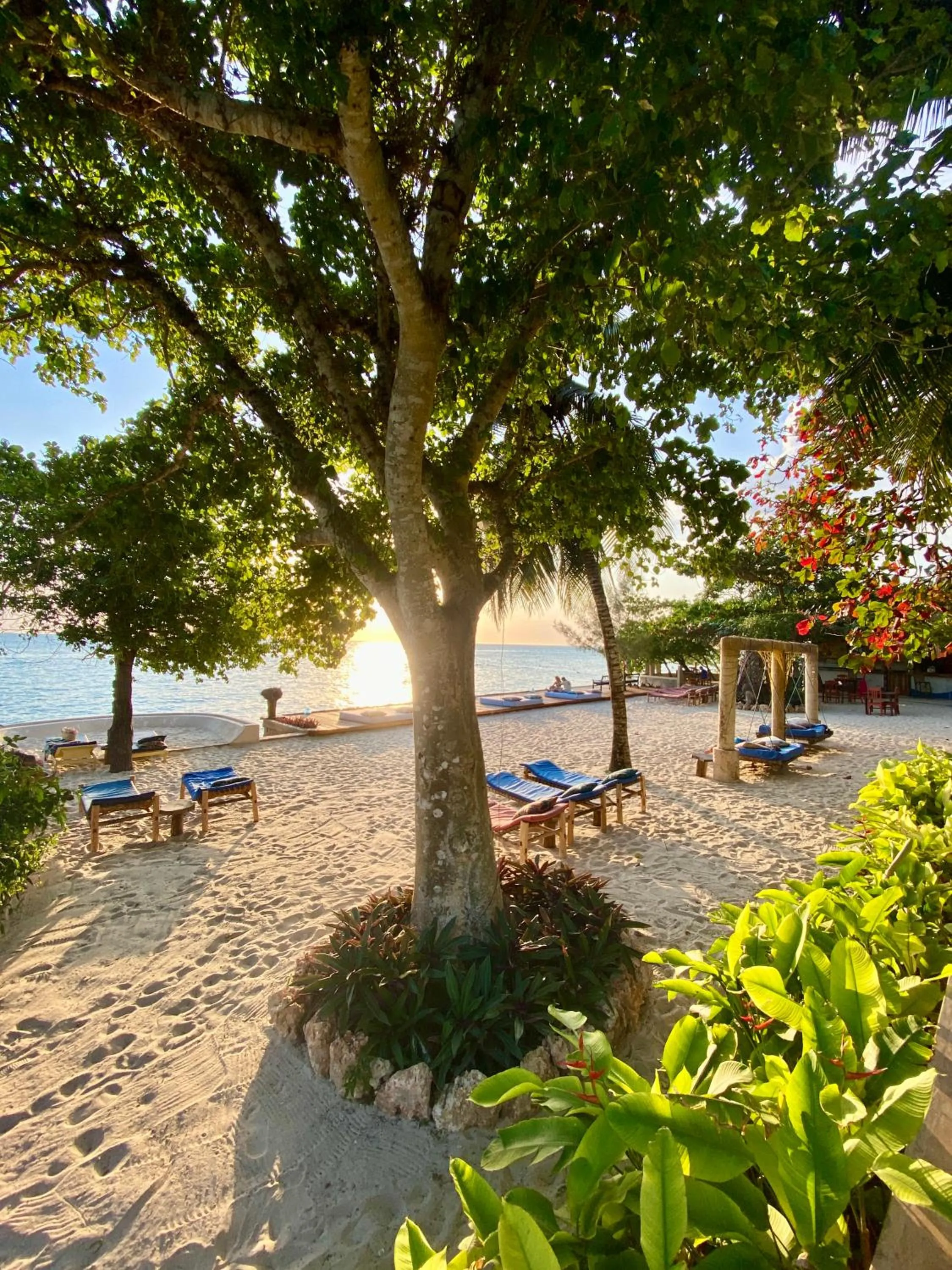 Natural landscape in Mangrove Lodge