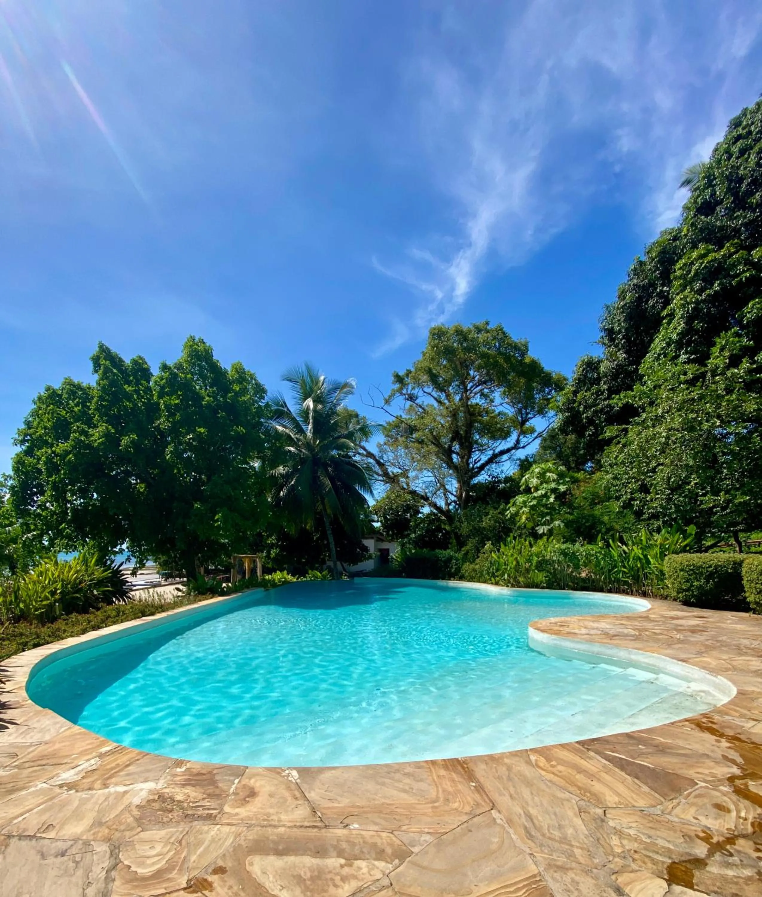 Garden in Mangrove Lodge