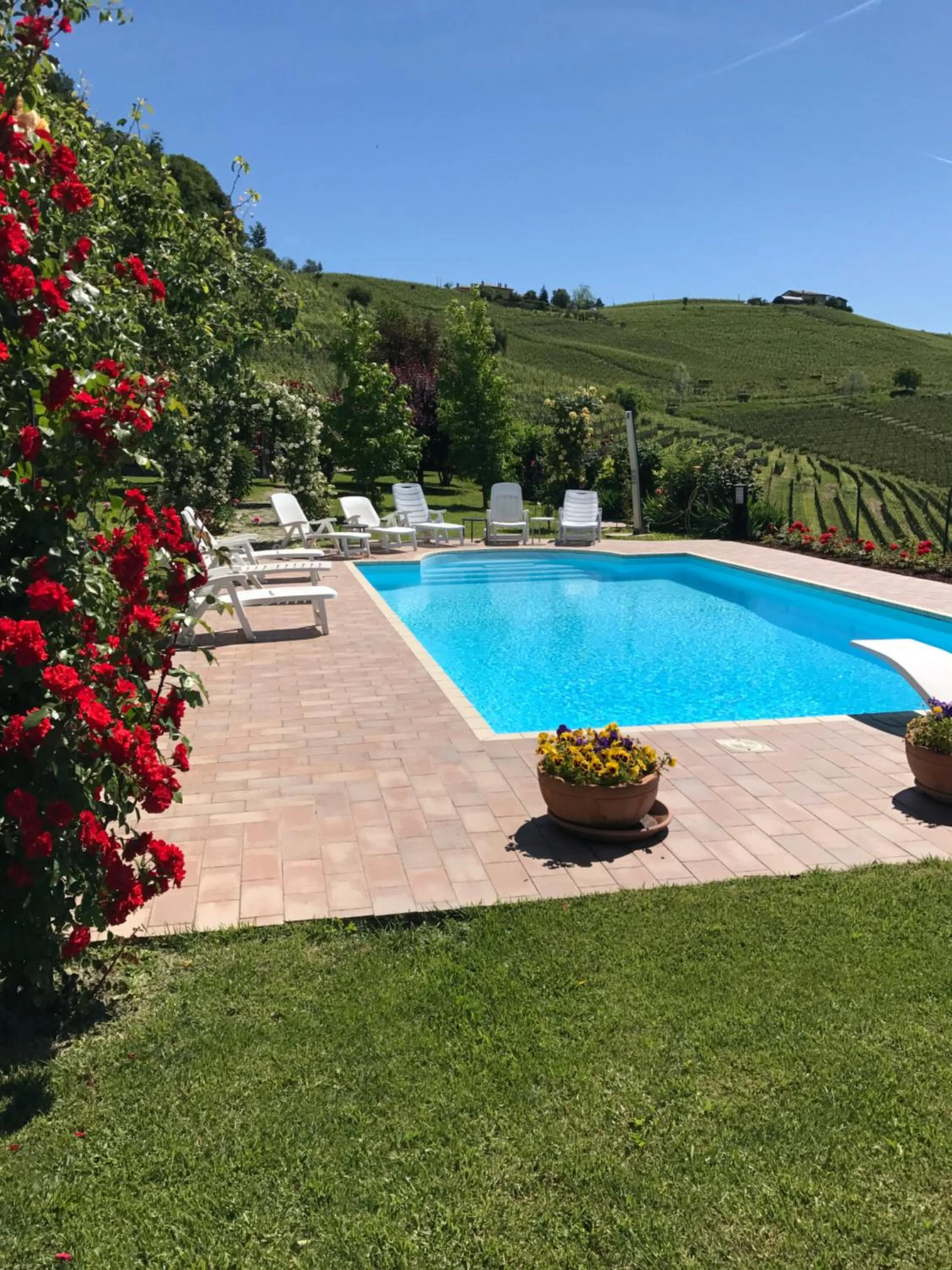 Pool view in Residence delle Rose