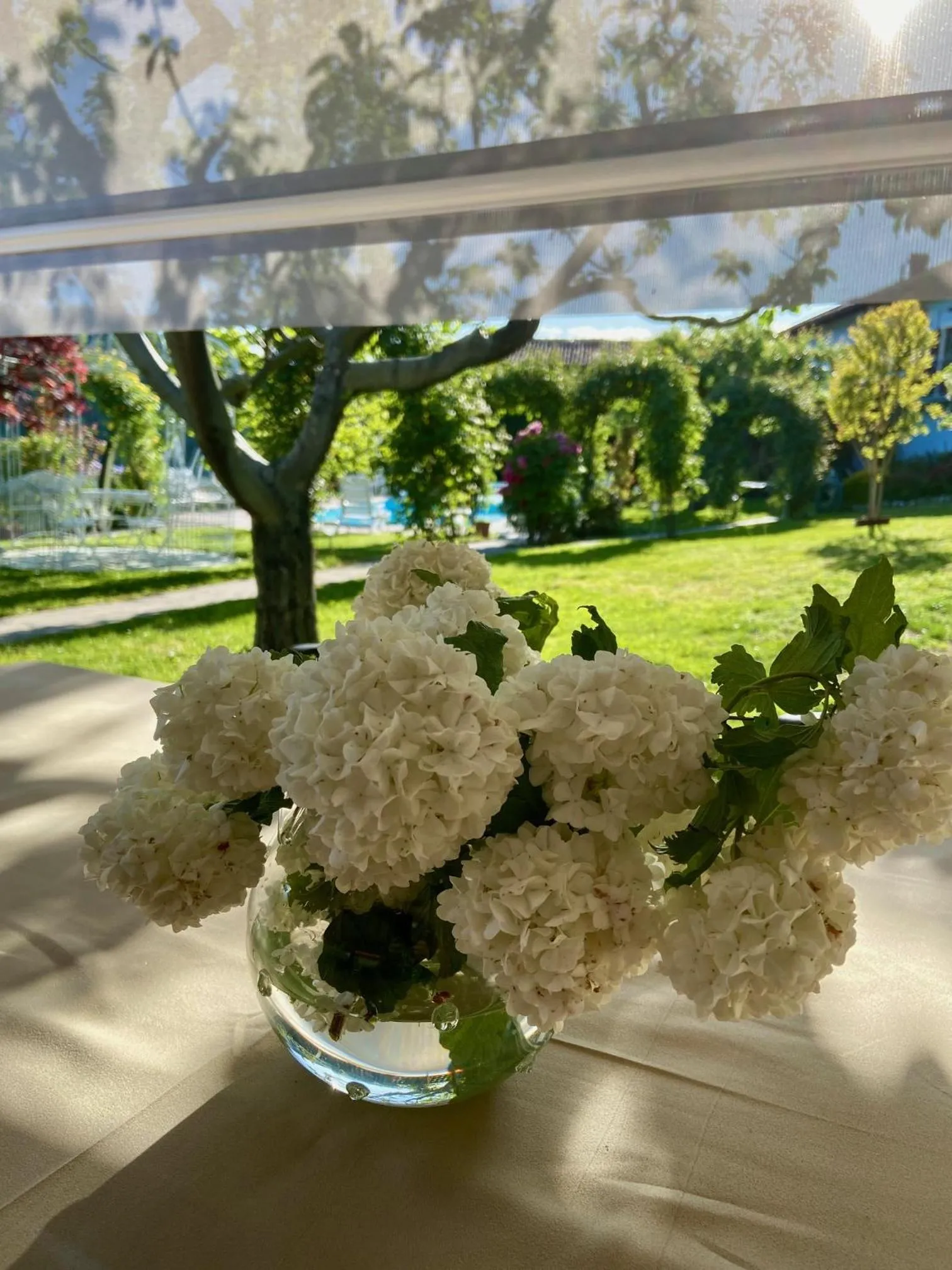Spring in Residence delle Rose