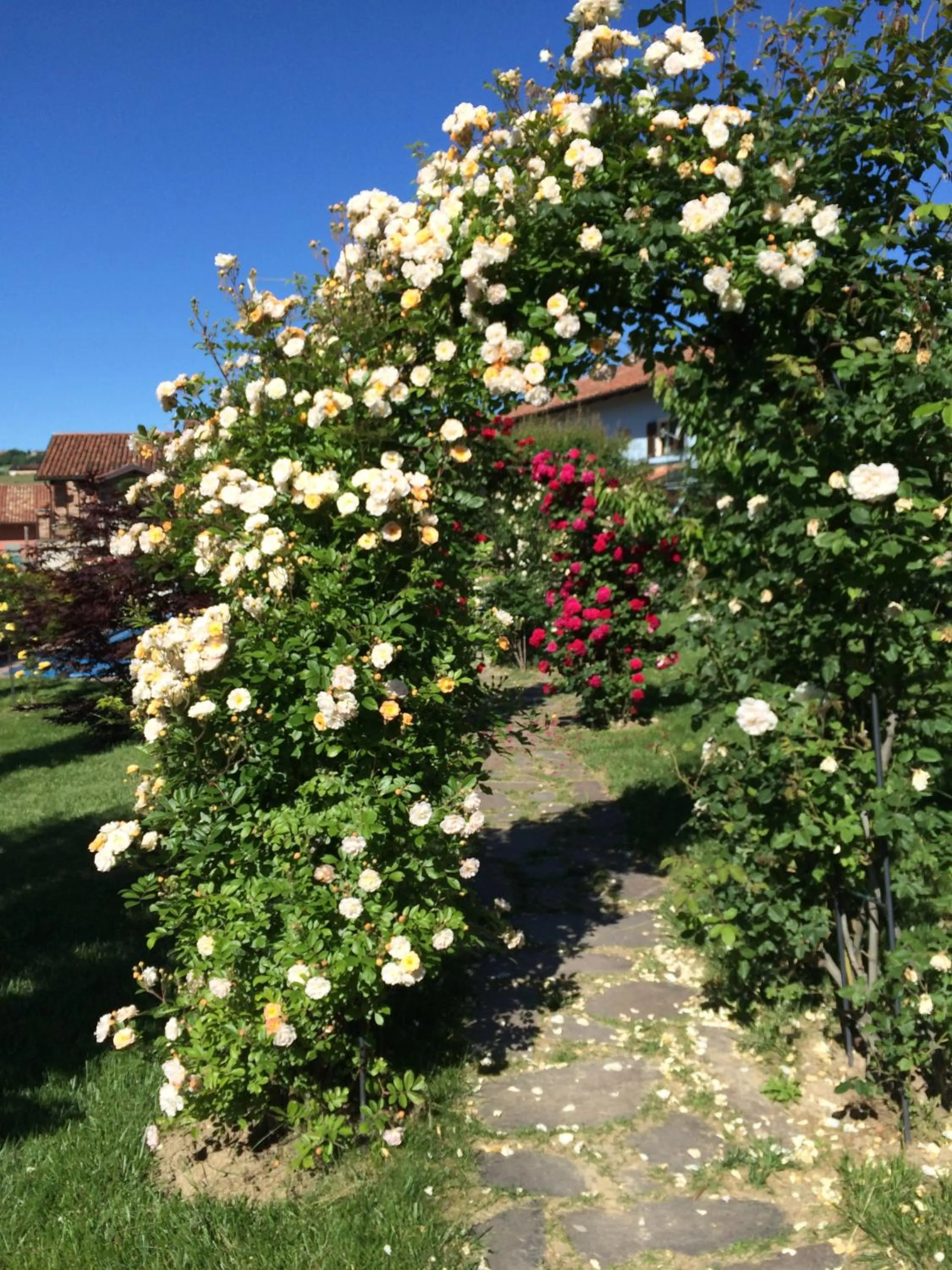 Garden in Residence delle Rose
