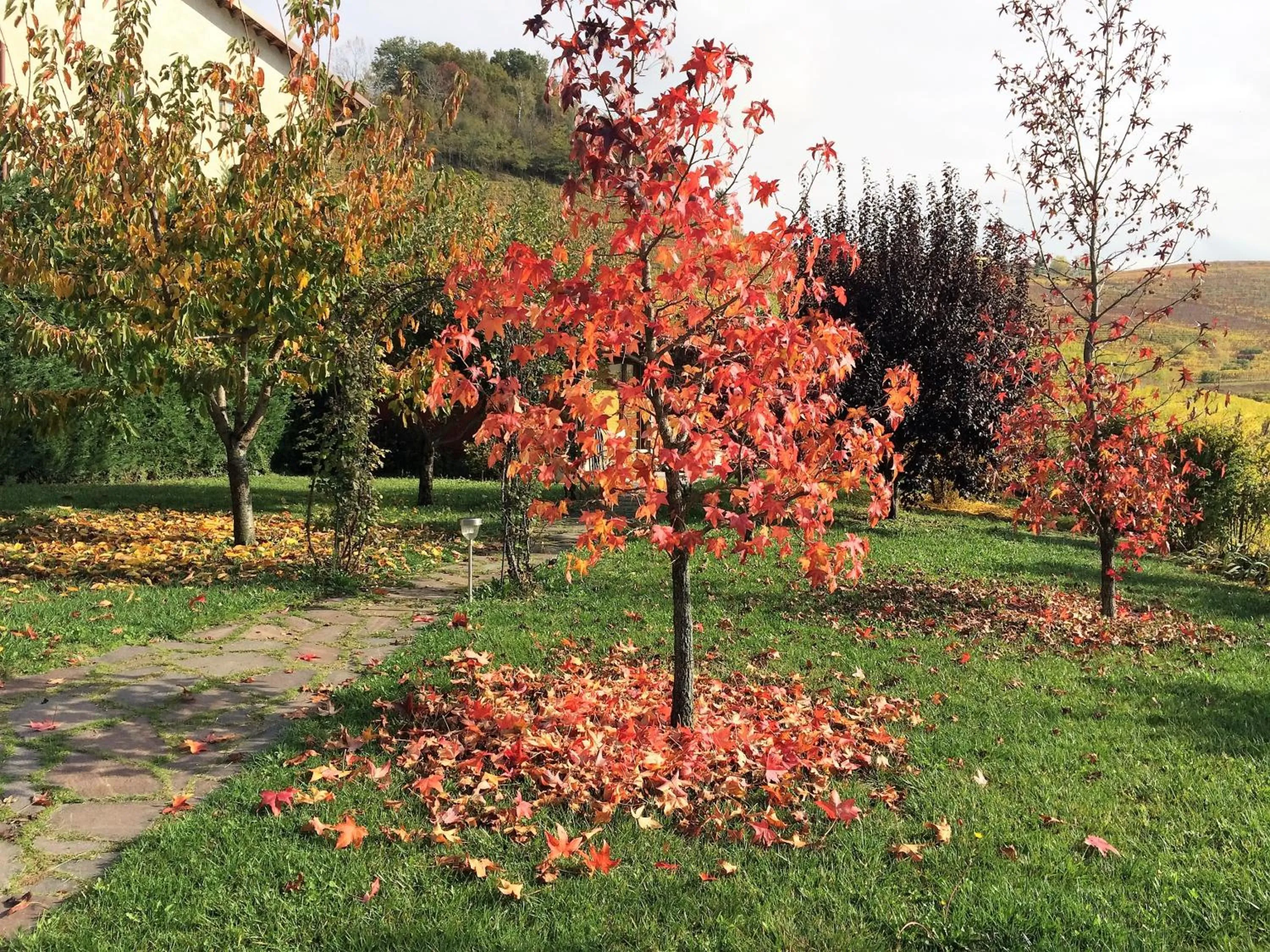 Garden in Residence delle Rose