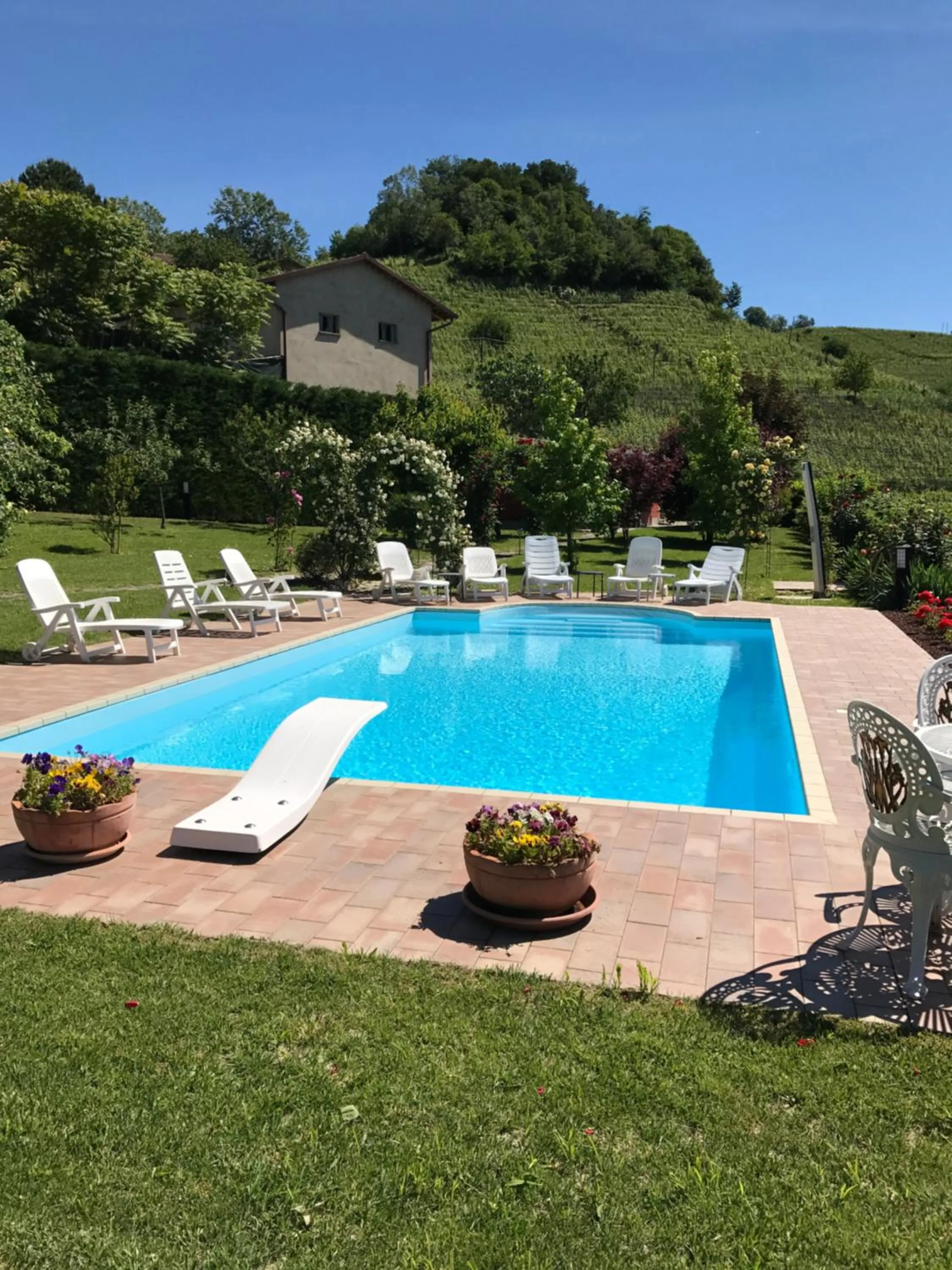 Pool view in Residence delle Rose