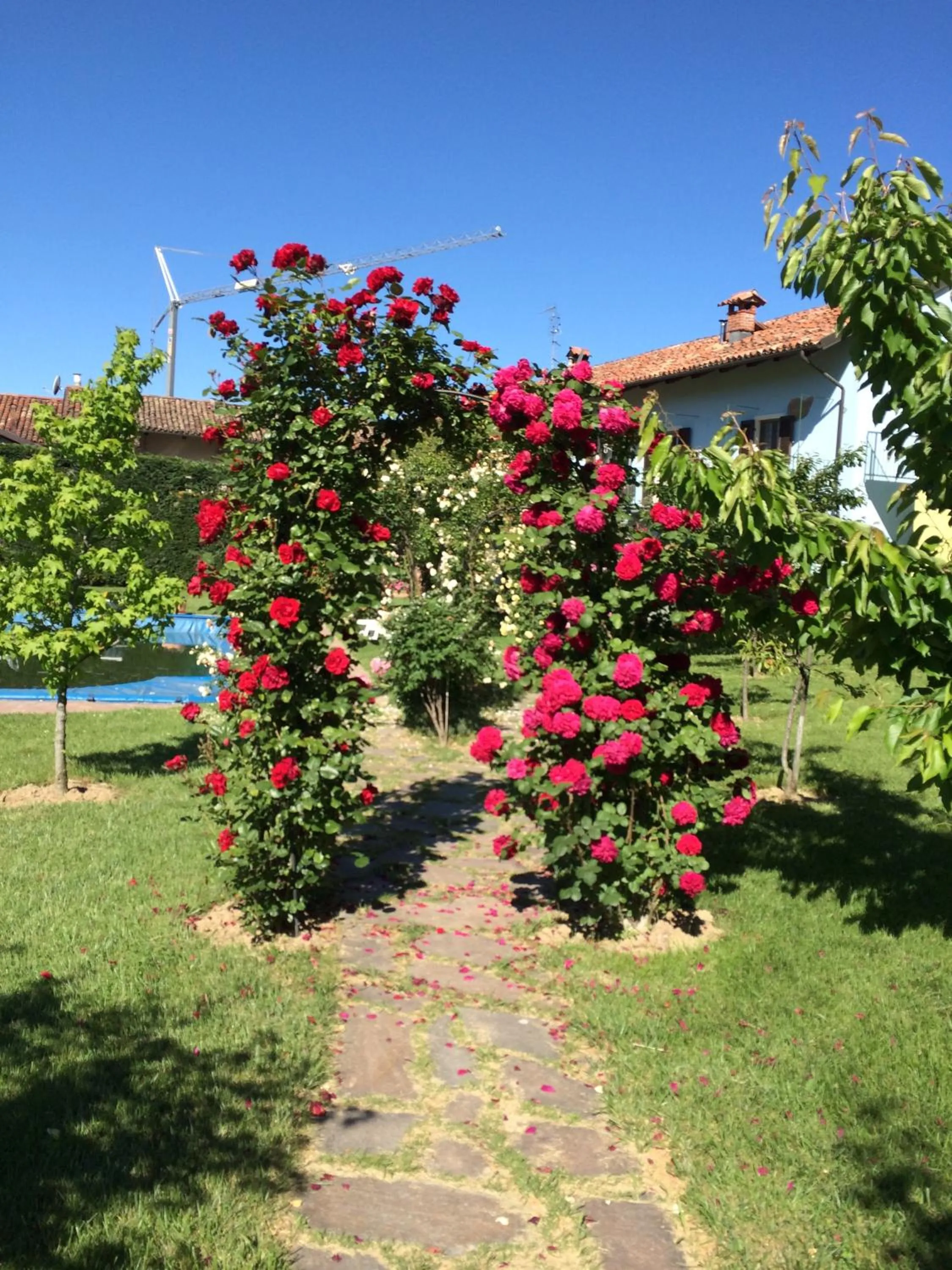 Garden in Residence delle Rose