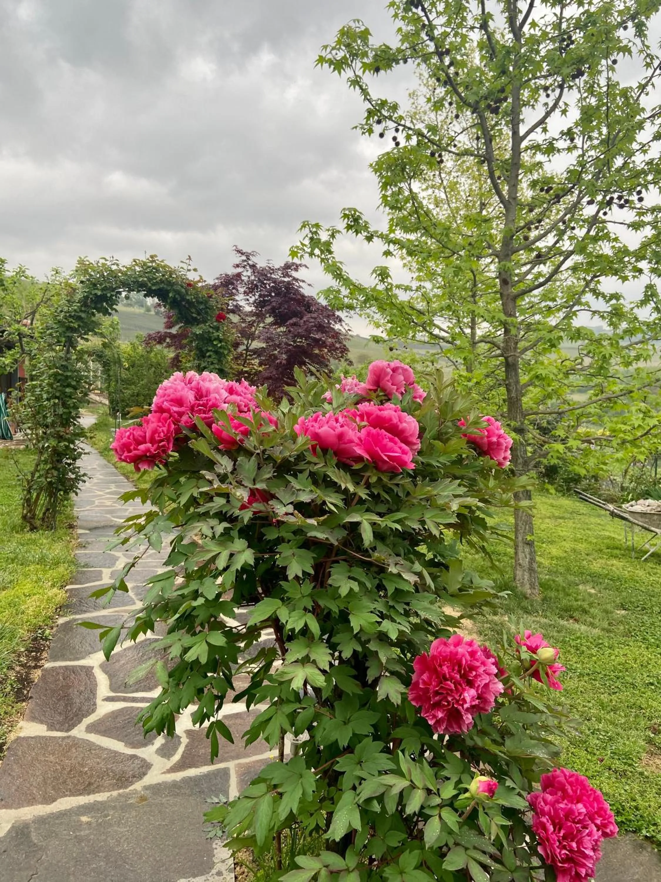 Garden in Residence delle Rose