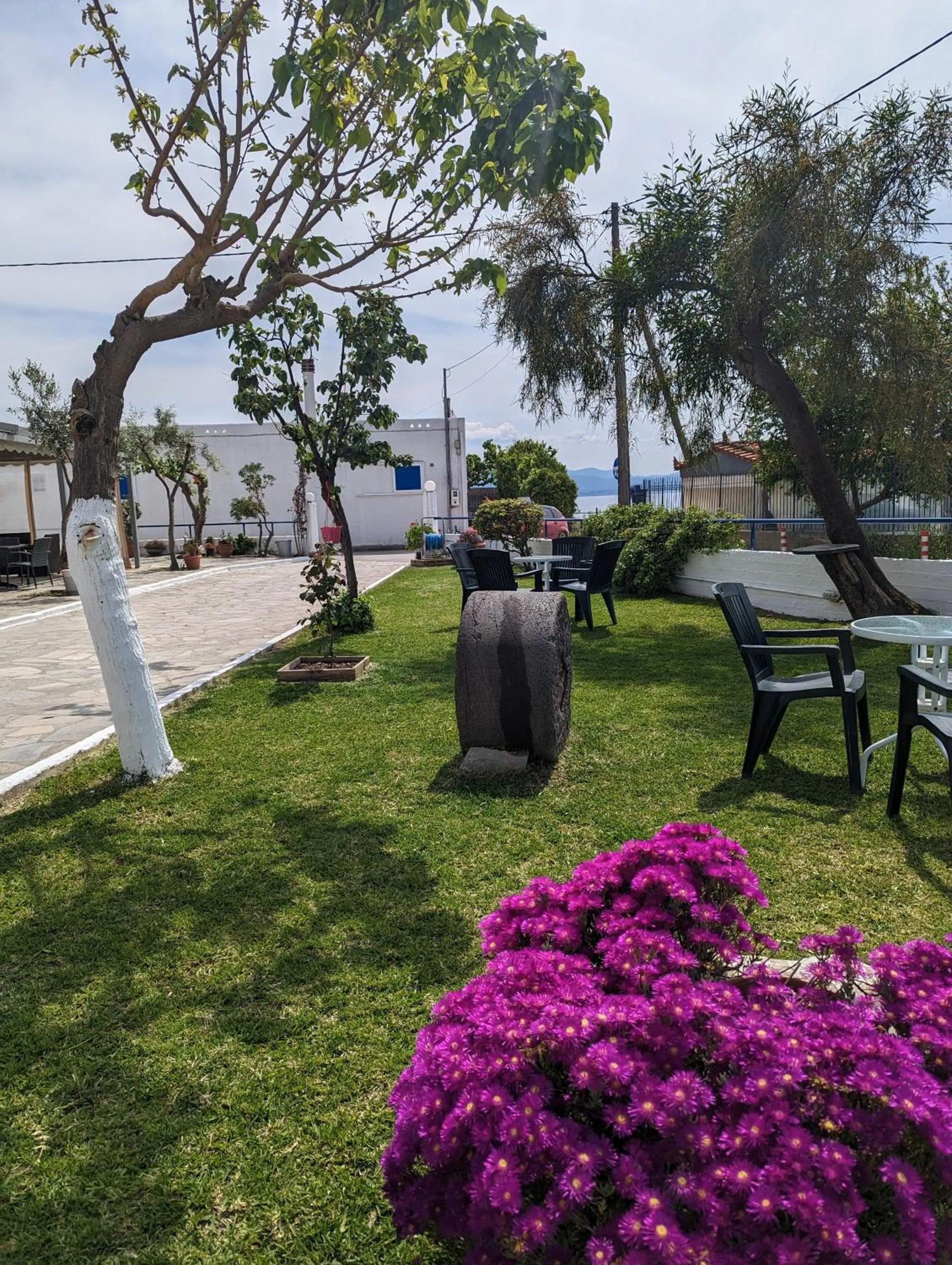 Garden in To Kyma