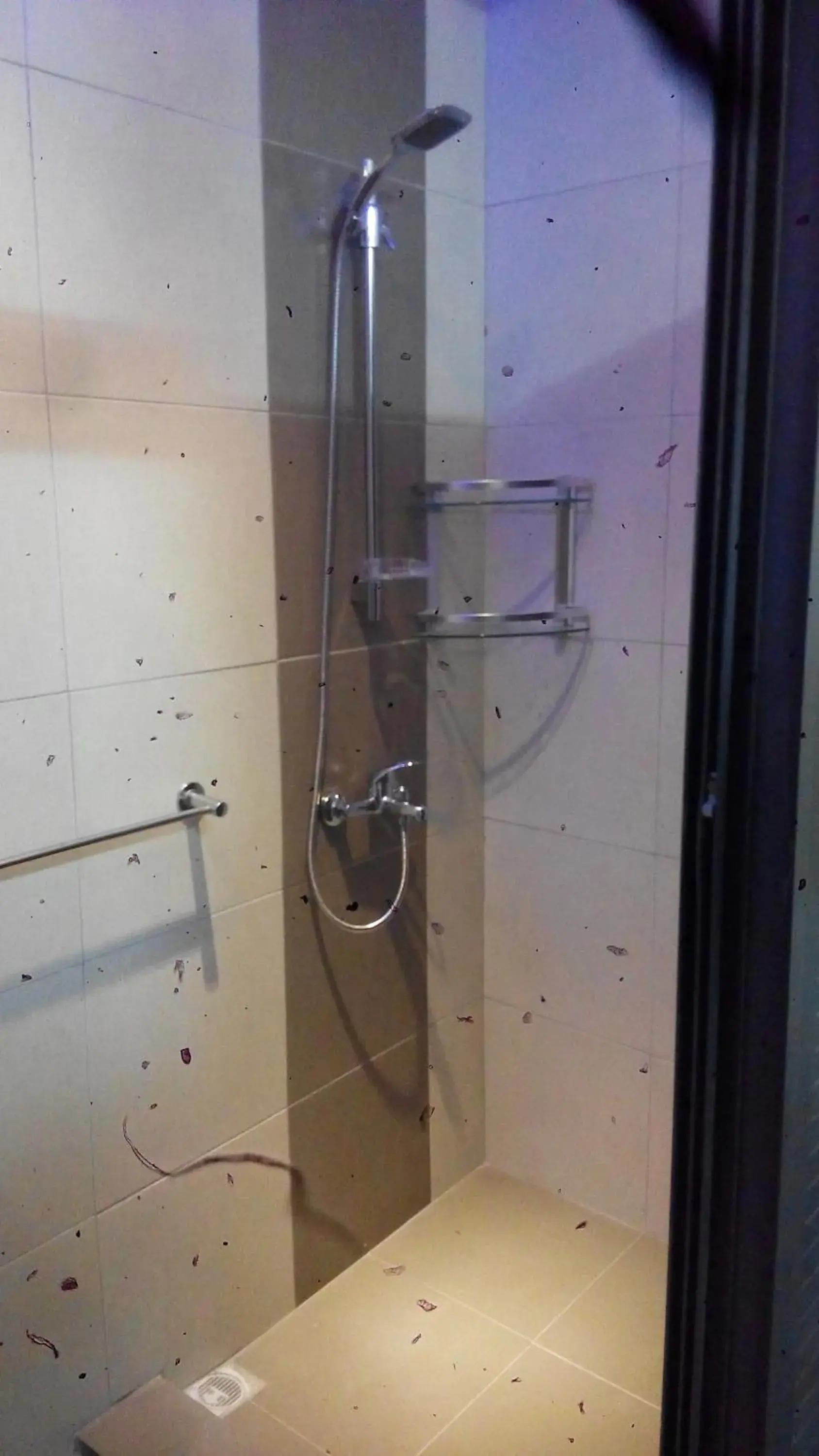 Residence Les Bambous Residence Les Bambous