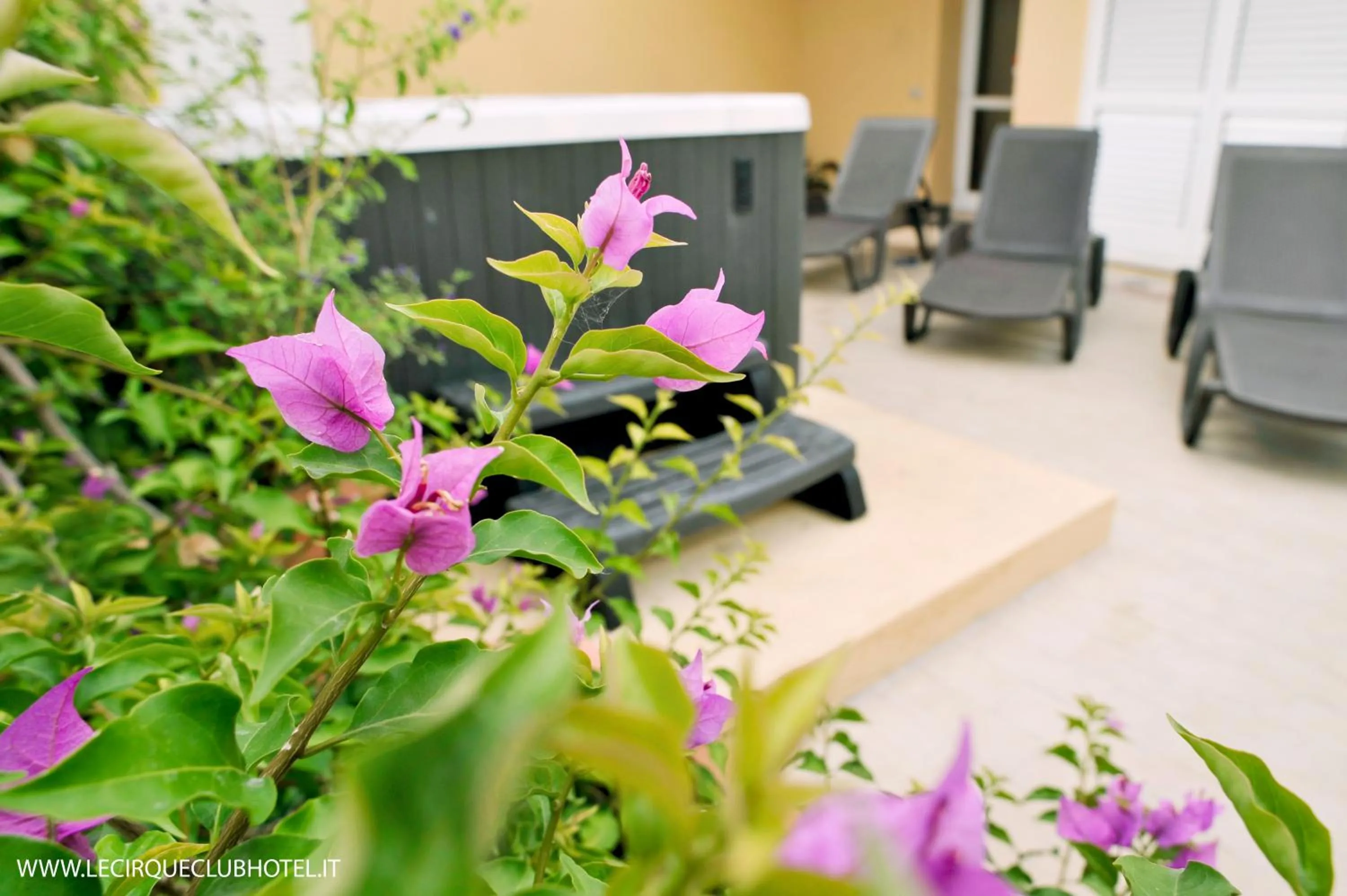 Solarium in Hotel Lido Inn