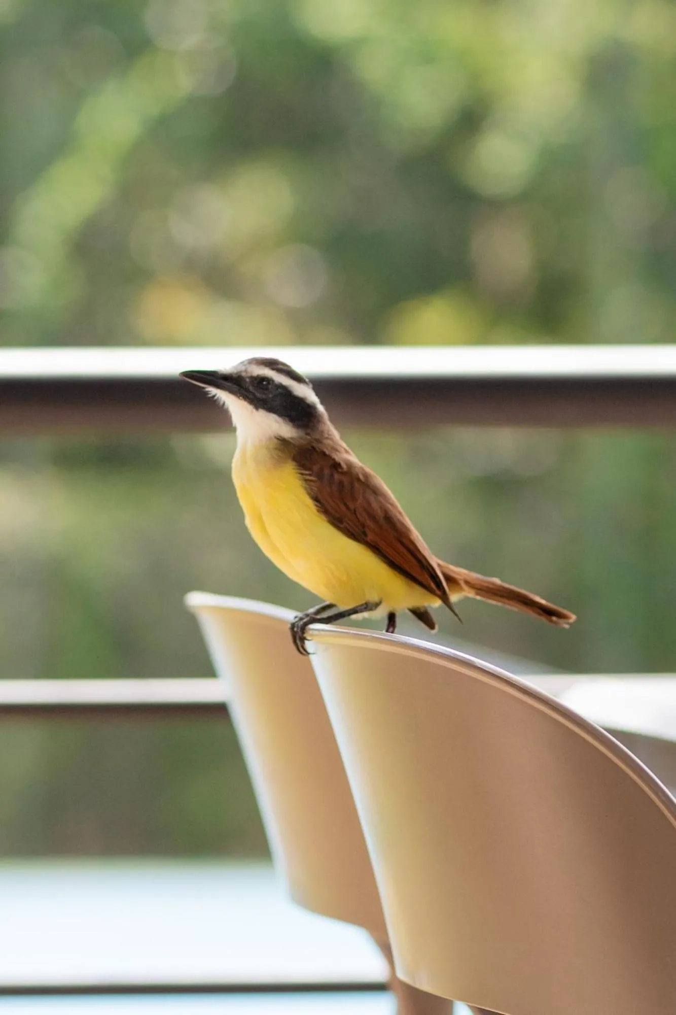 Natural landscape in Natura Reservado - Hoteles Natura