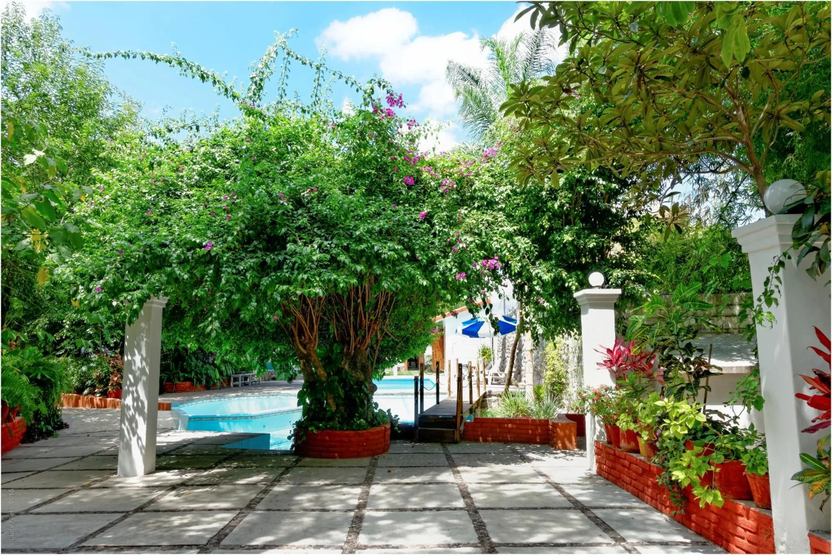Patio in El Molino Hotel Boutique