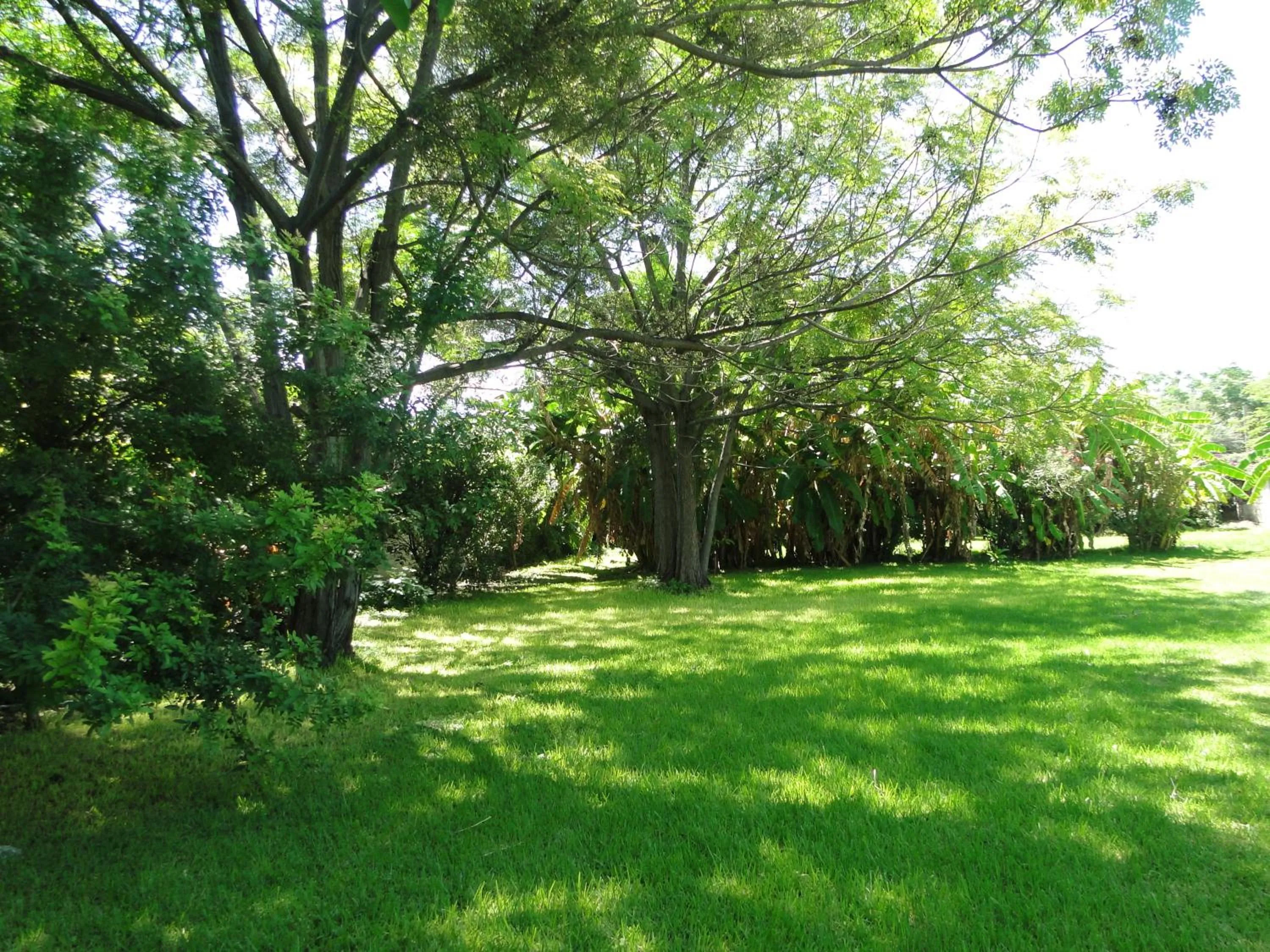 Garden in El Molino Hotel Boutique