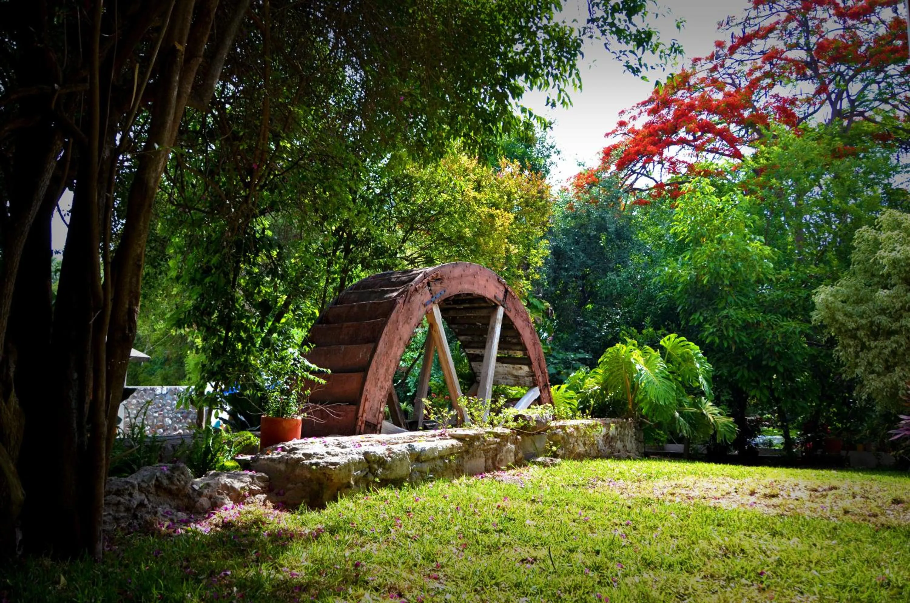 Garden in El Molino Hotel Boutique