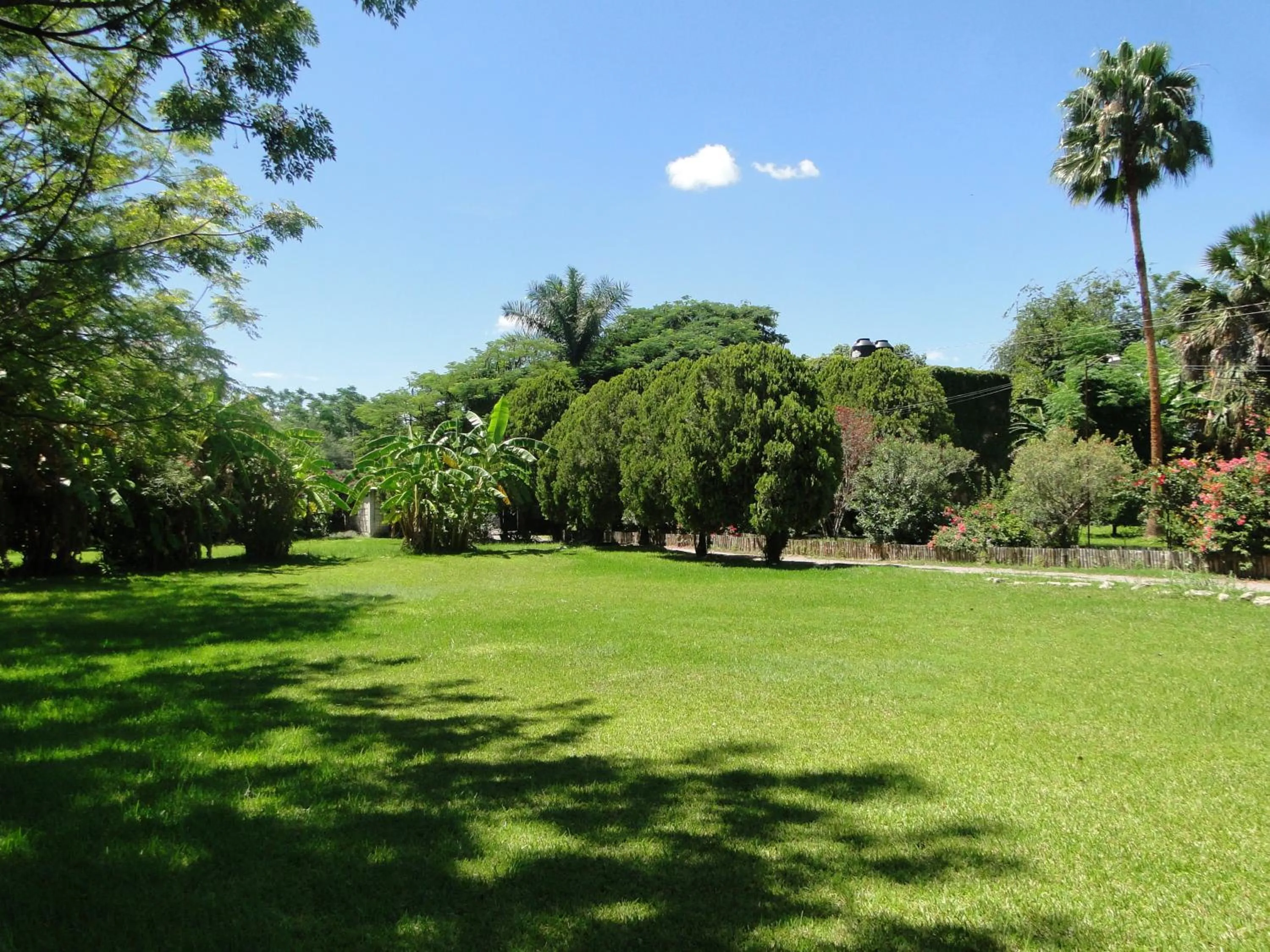 Garden in El Molino Hotel Boutique