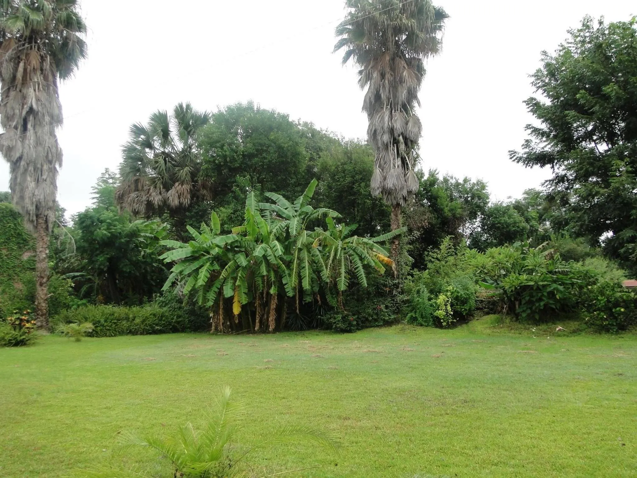 Garden in El Molino Hotel Boutique