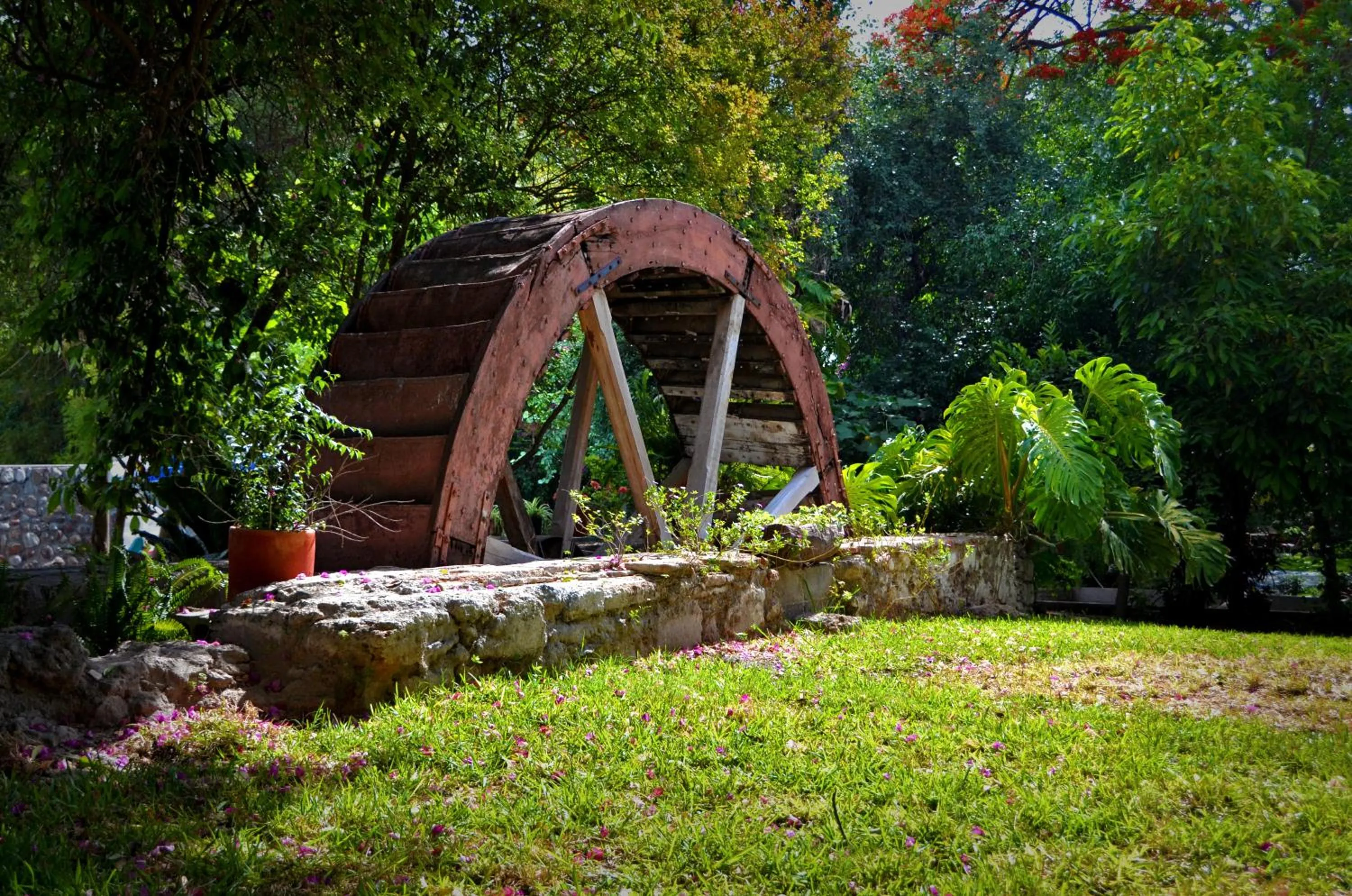 Garden in El Molino Hotel Boutique