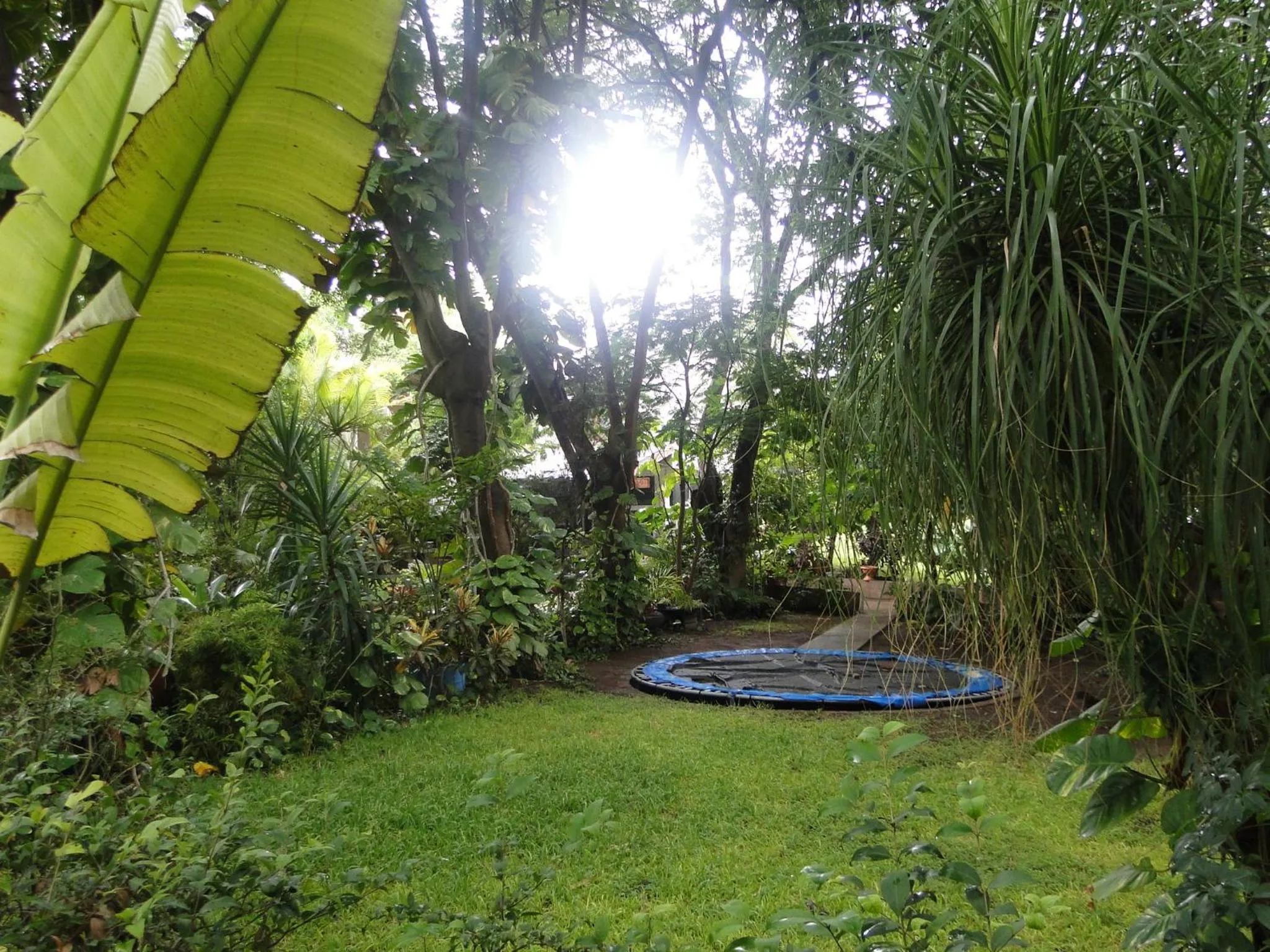 Garden in El Molino Hotel Boutique