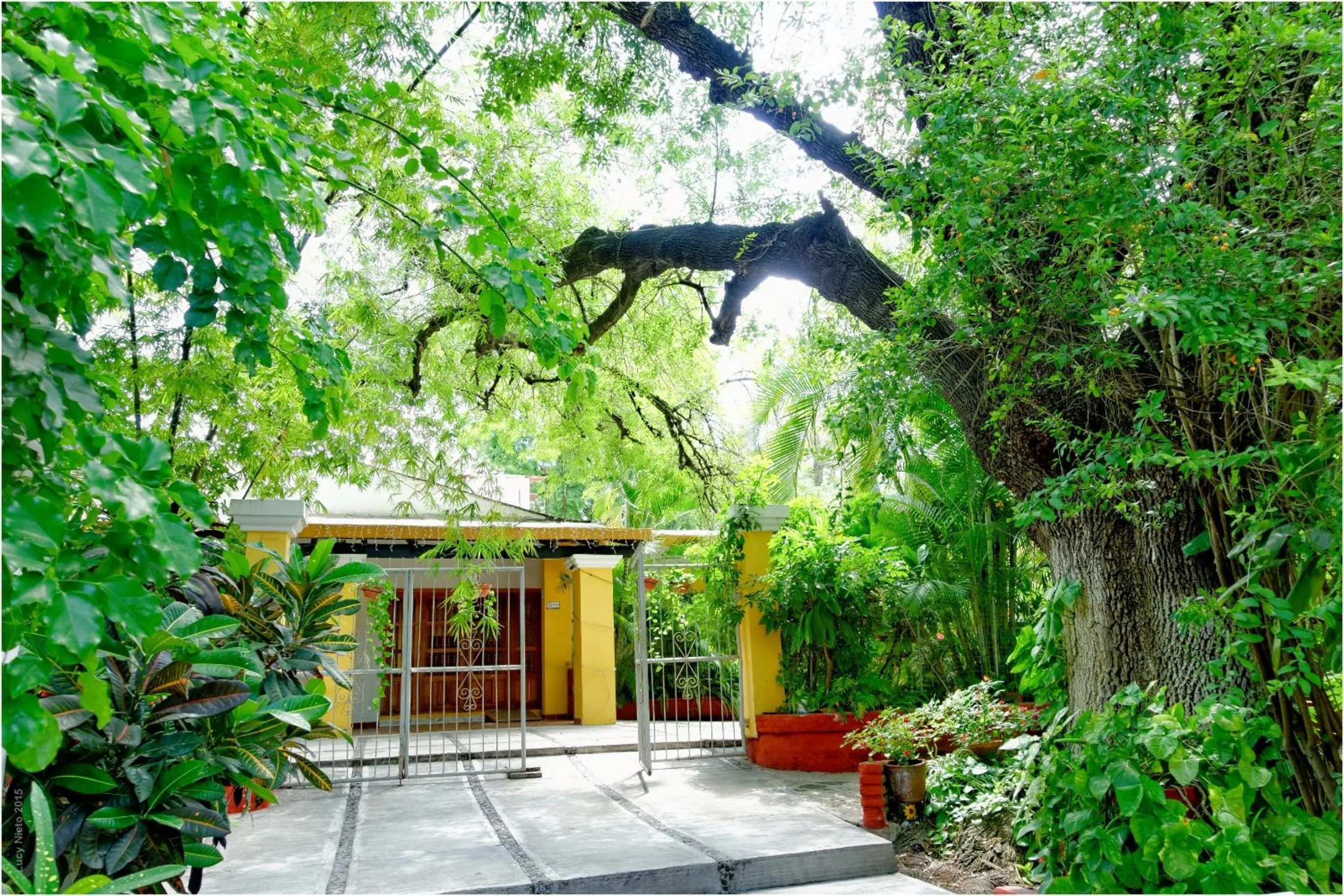 Patio in El Molino Hotel Boutique