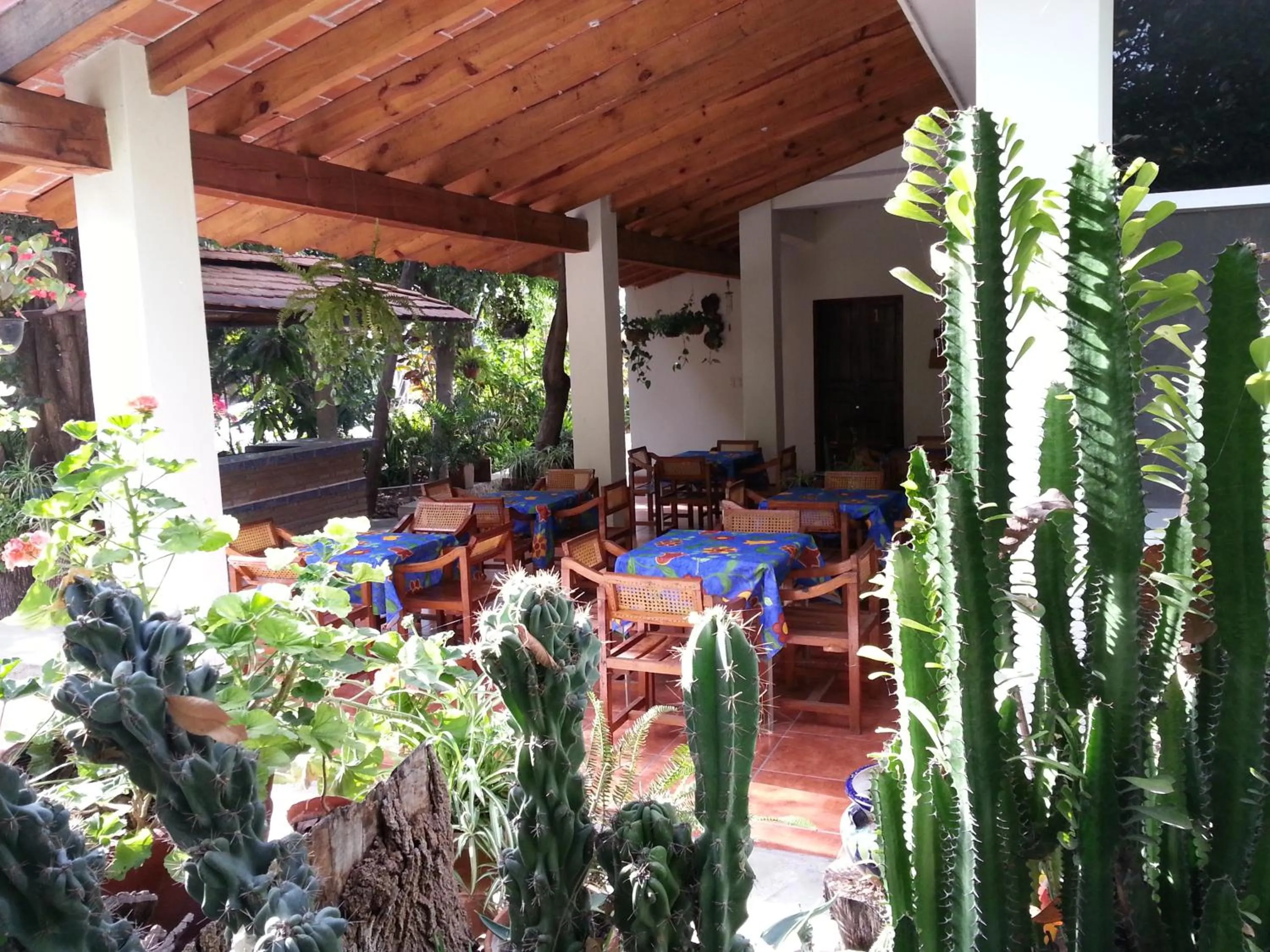 Restaurant/places to eat in El Molino Hotel Boutique