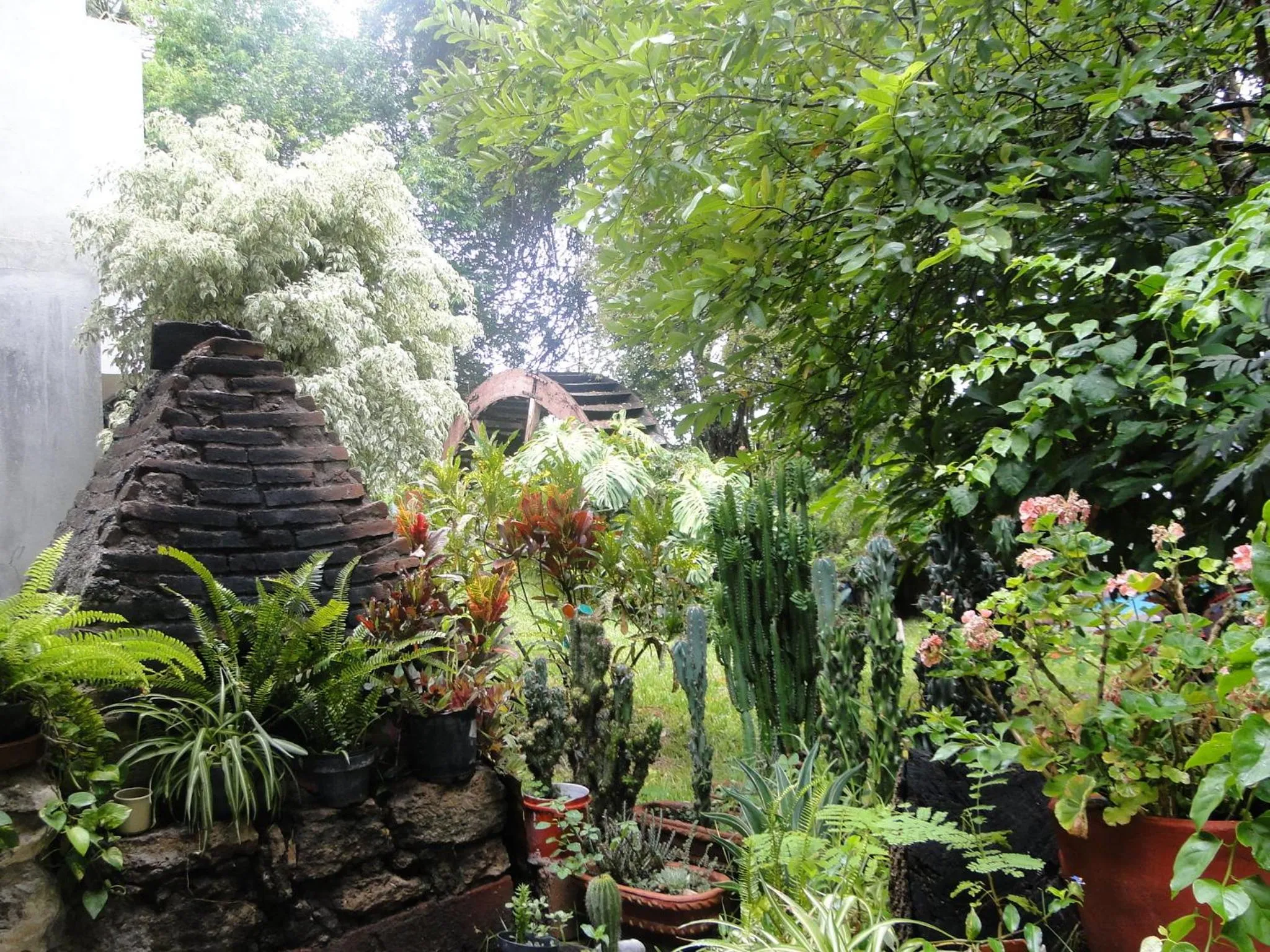 Garden in El Molino Hotel Boutique