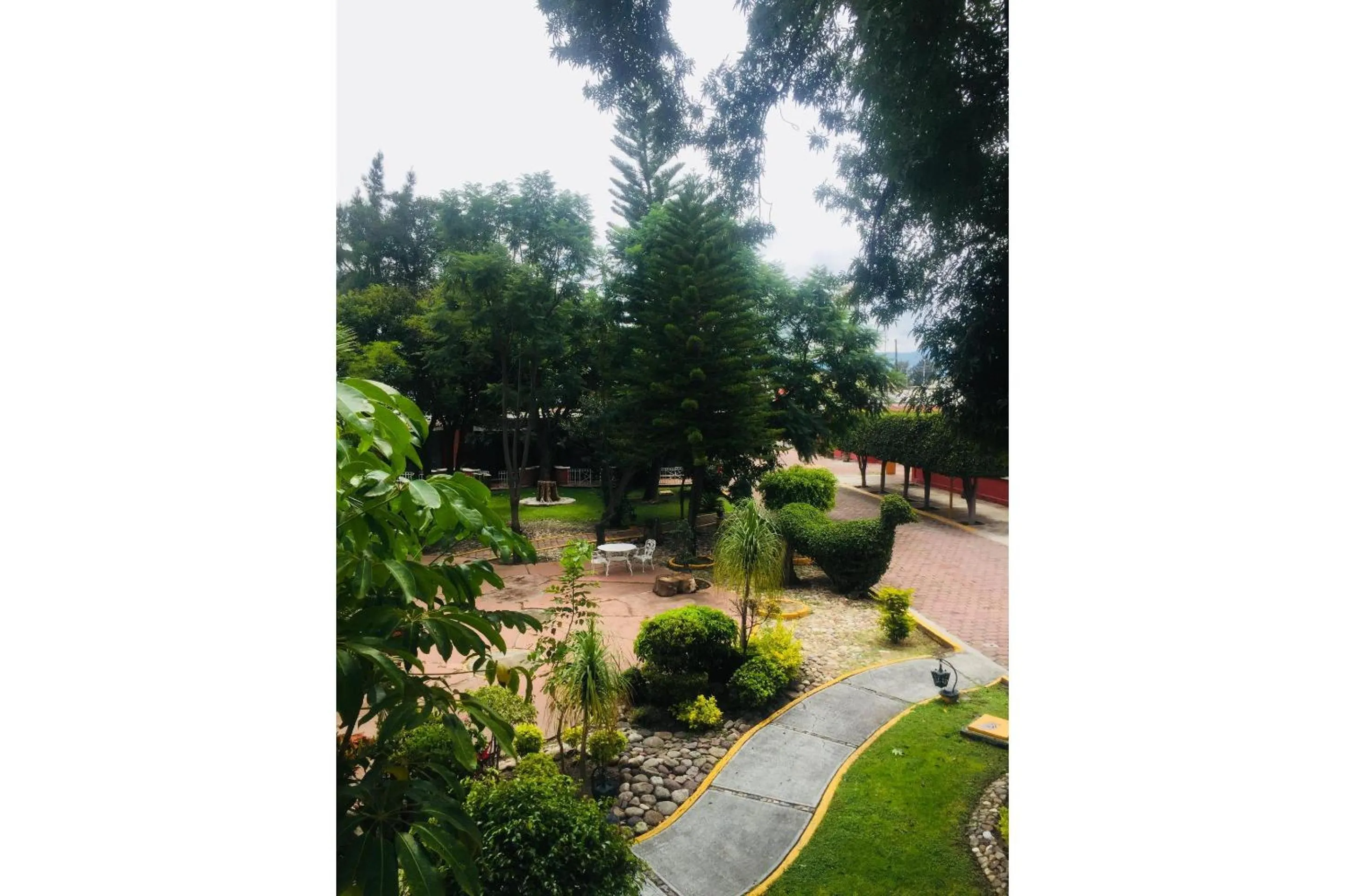 Swimming pool in Capital O Gran Hotel Campestre