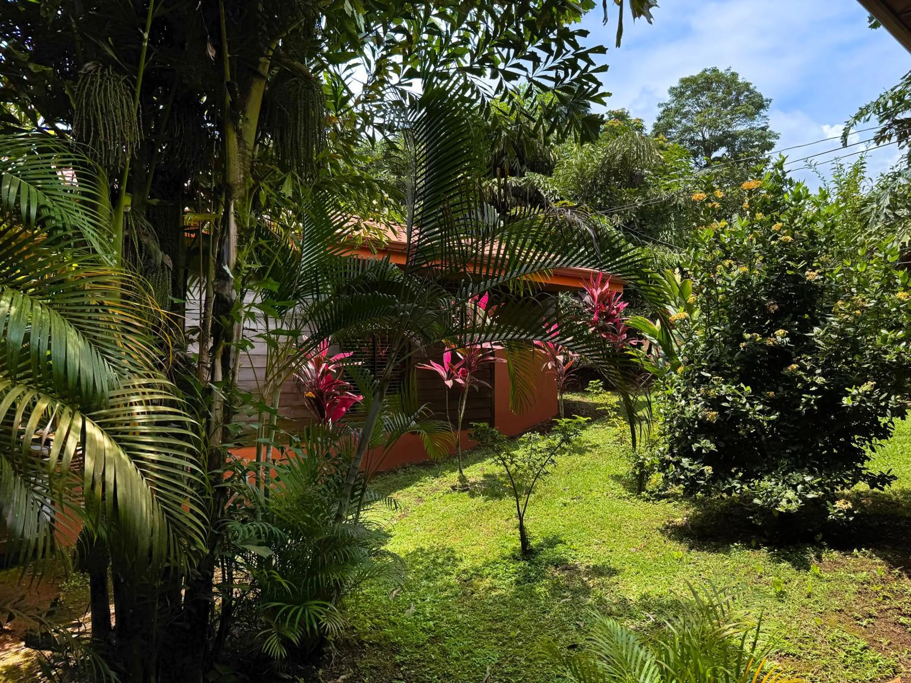 Garden in Hotel Heliconias Nature Inn & Hot Springs