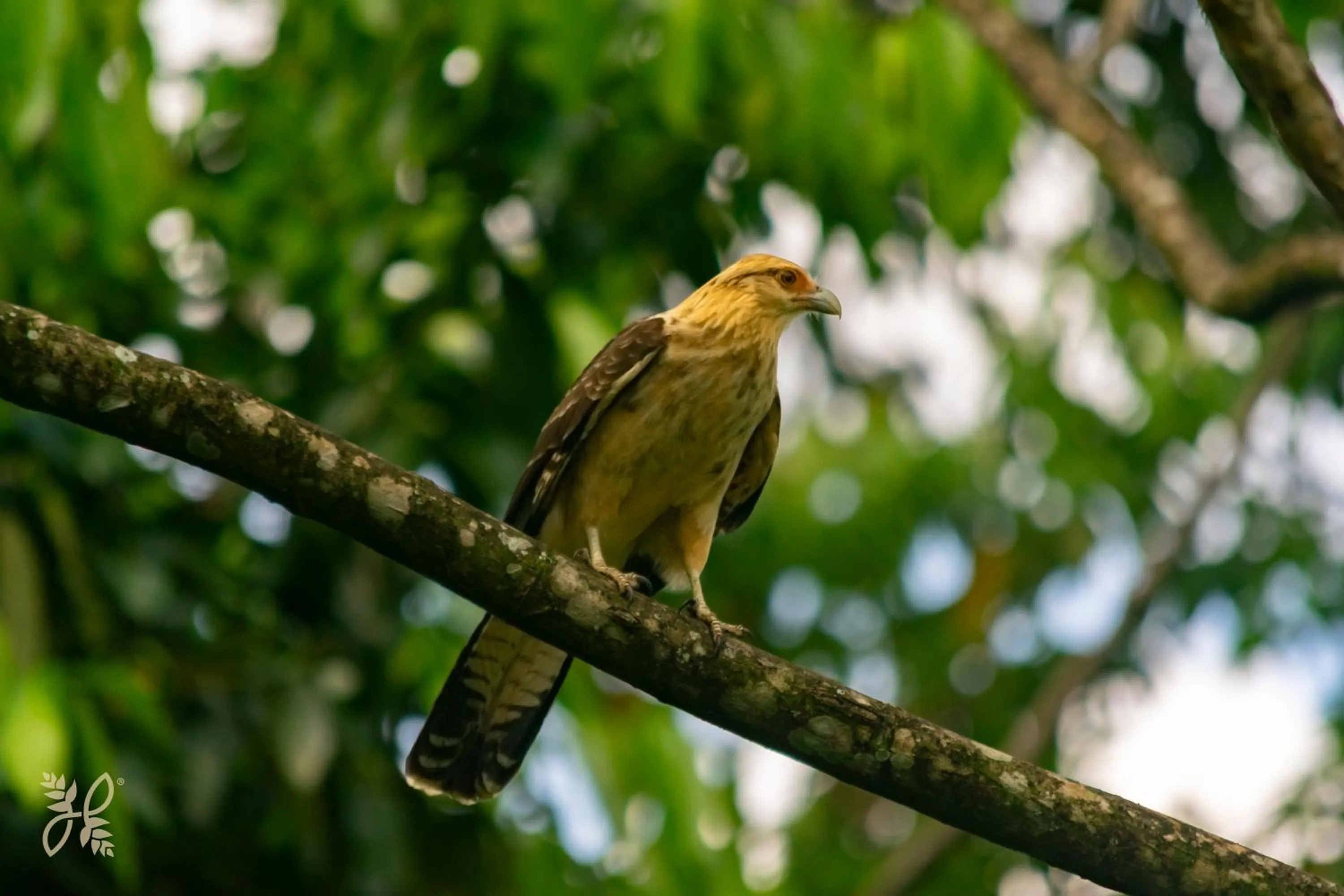 View (from property/room) in Hotel Heliconias Nature Inn & Hot Springs