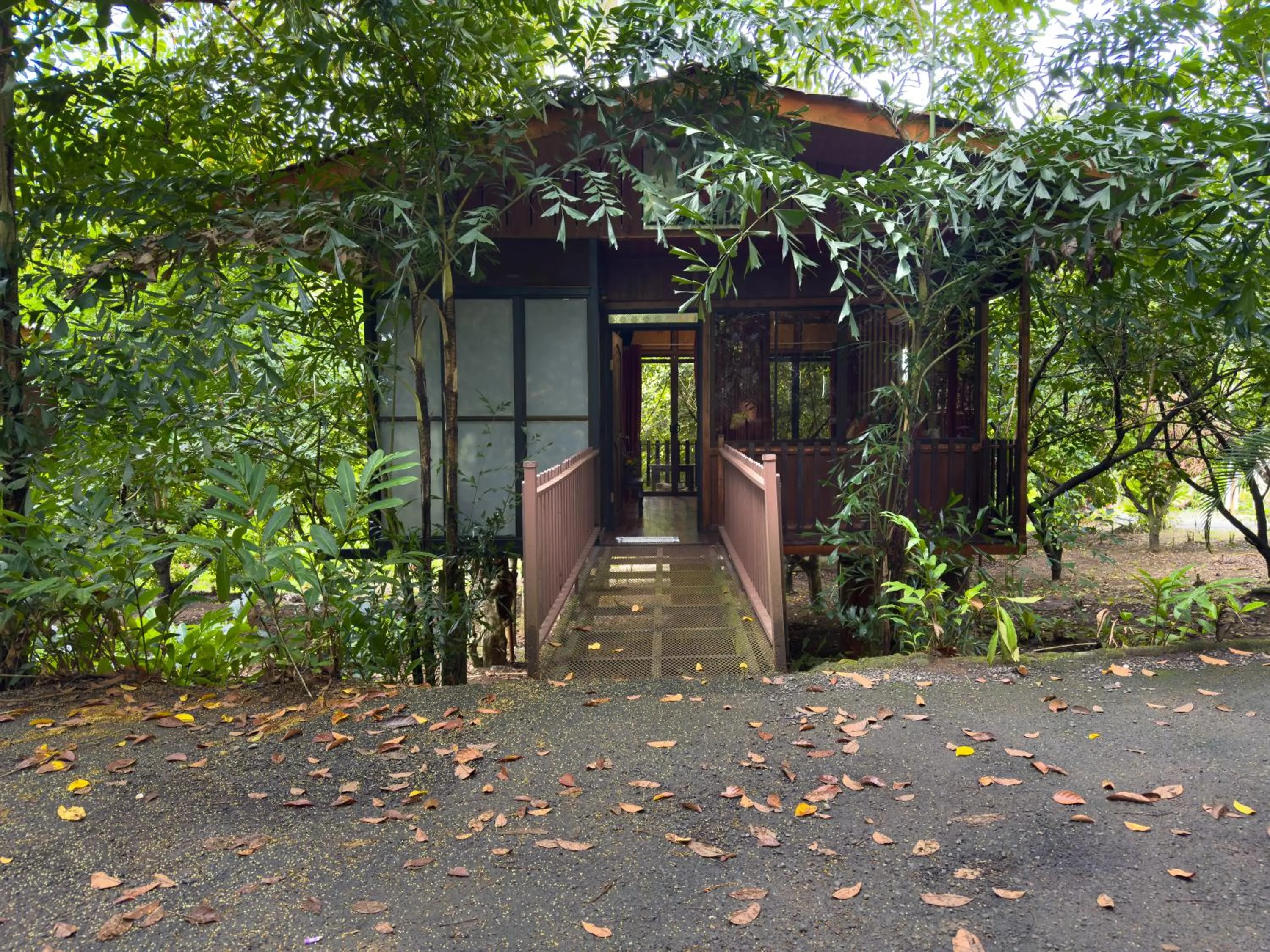 Spring in Hotel Heliconias Nature Inn & Hot Springs