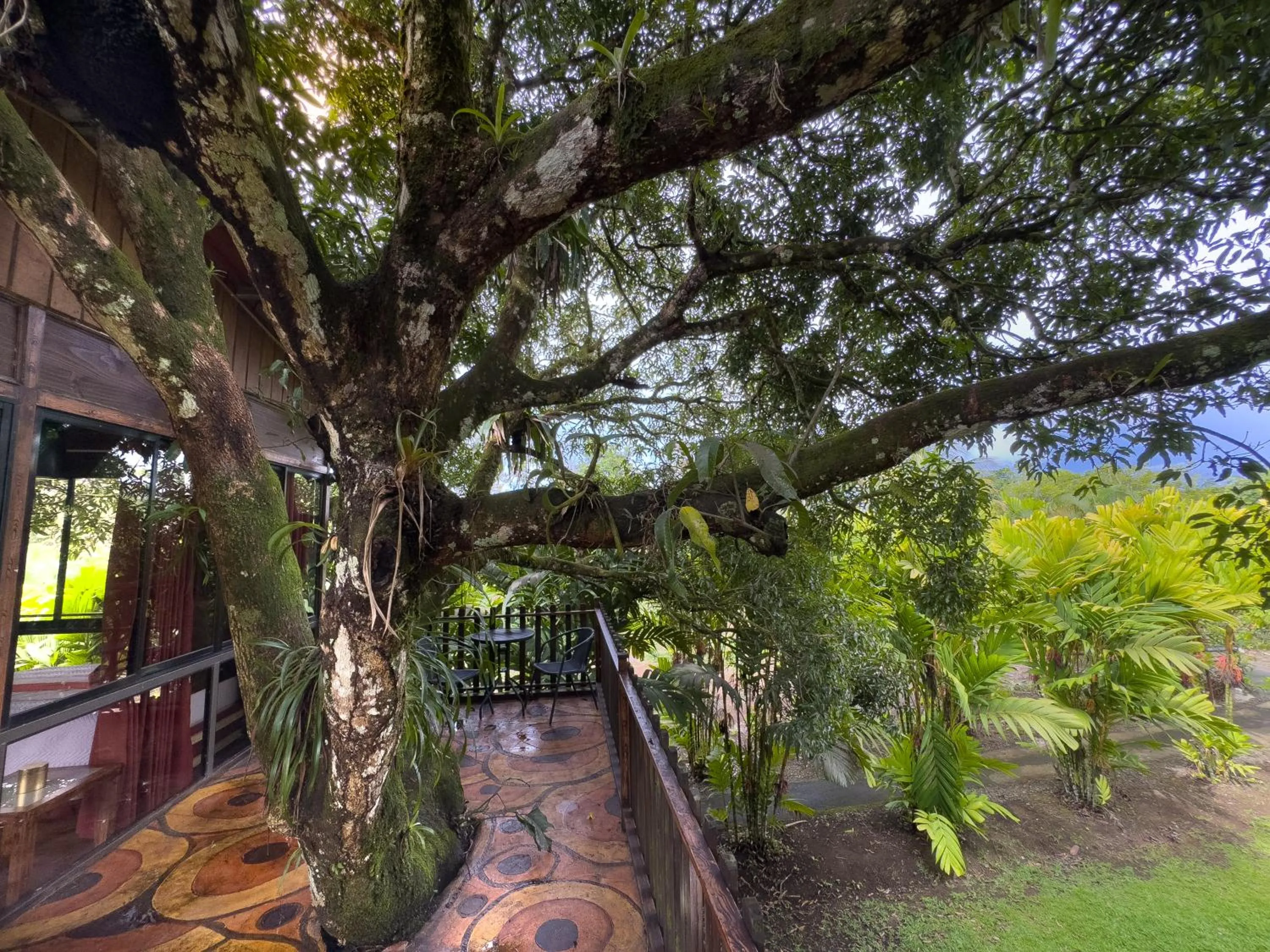 Balcony/Terrace in Hotel Heliconias Nature Inn & Hot Springs