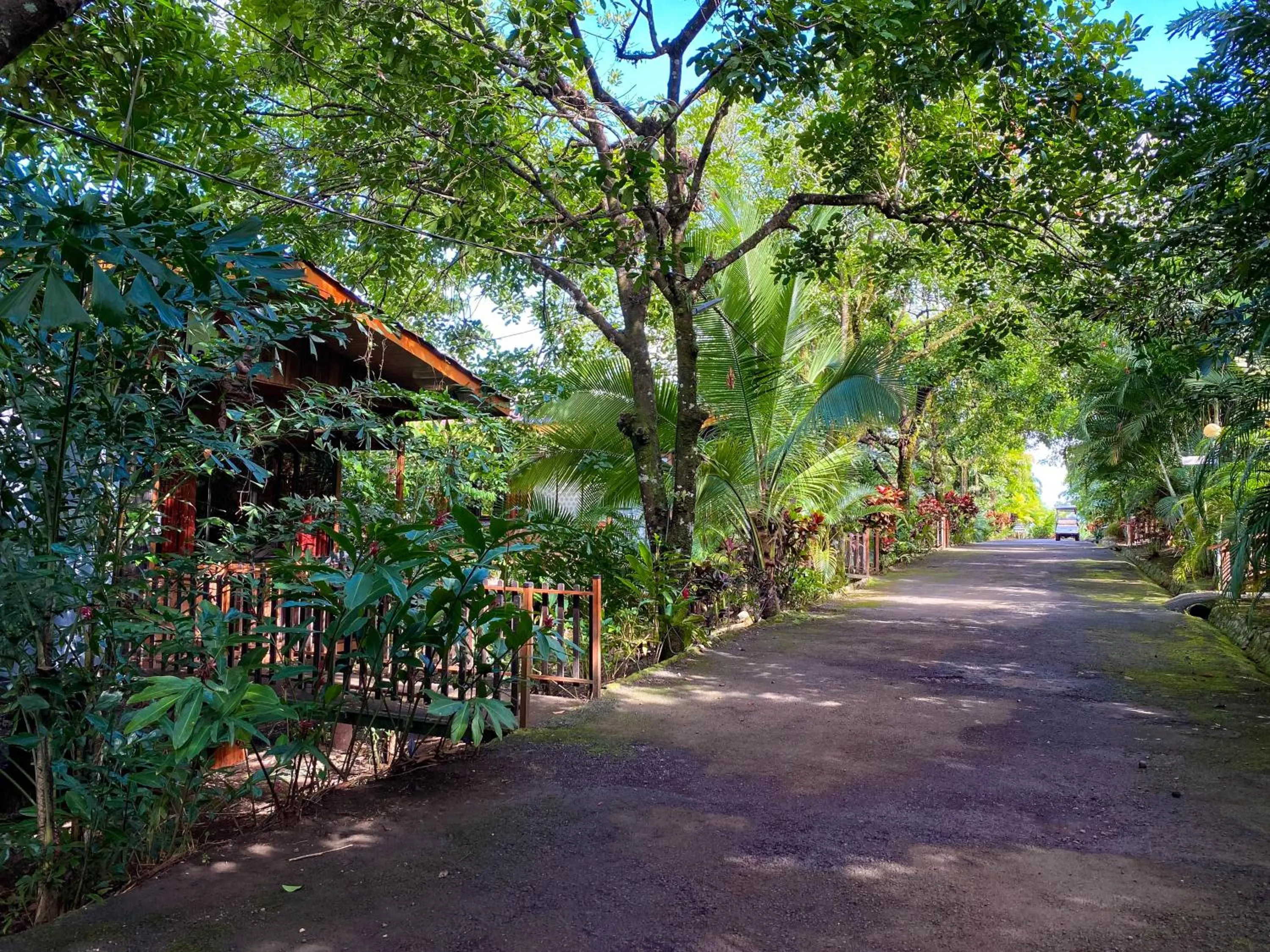 Spring in Hotel Heliconias Nature Inn & Hot Springs