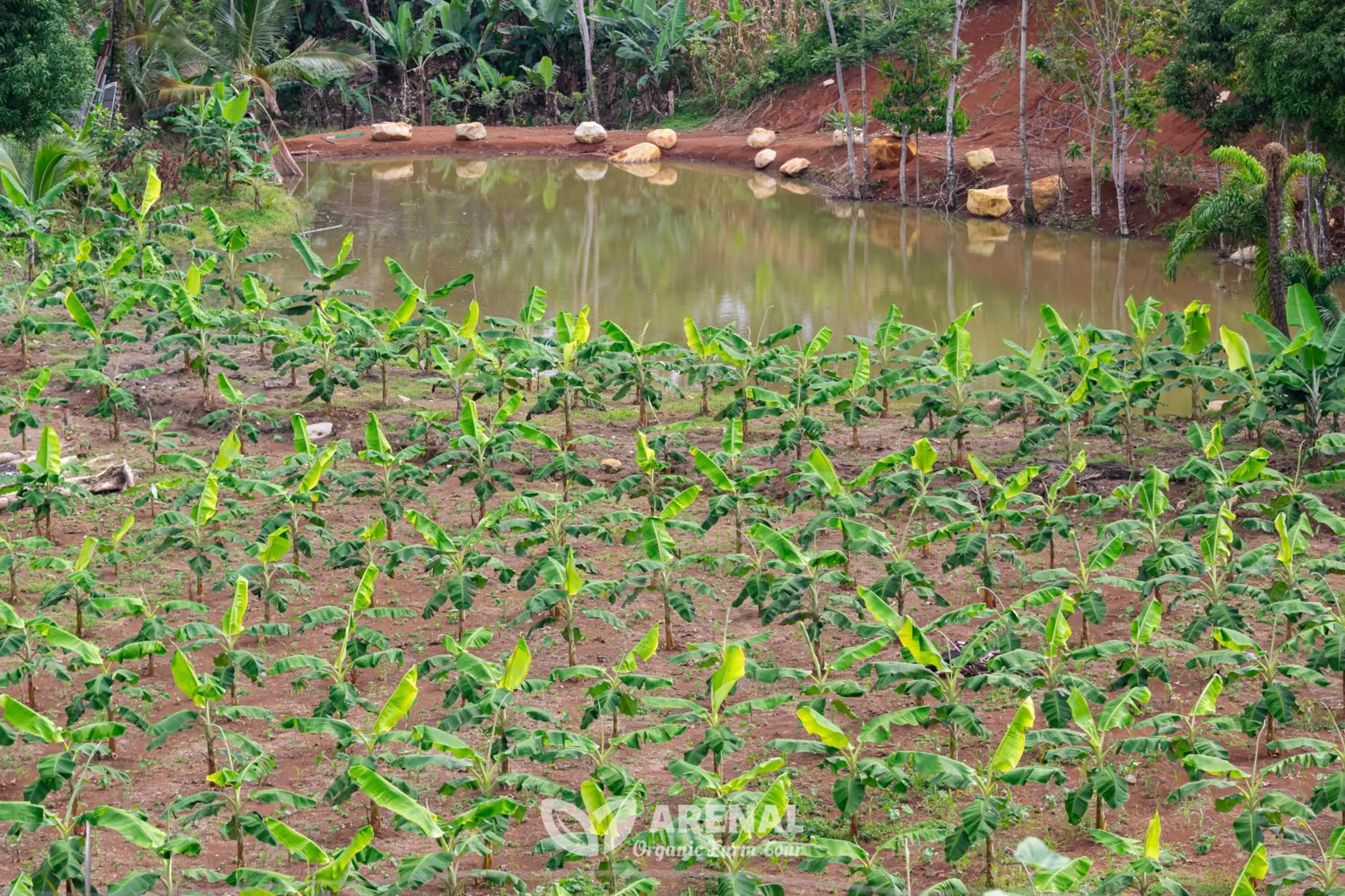 Activities in Hotel Heliconias Nature Inn & Hot Springs