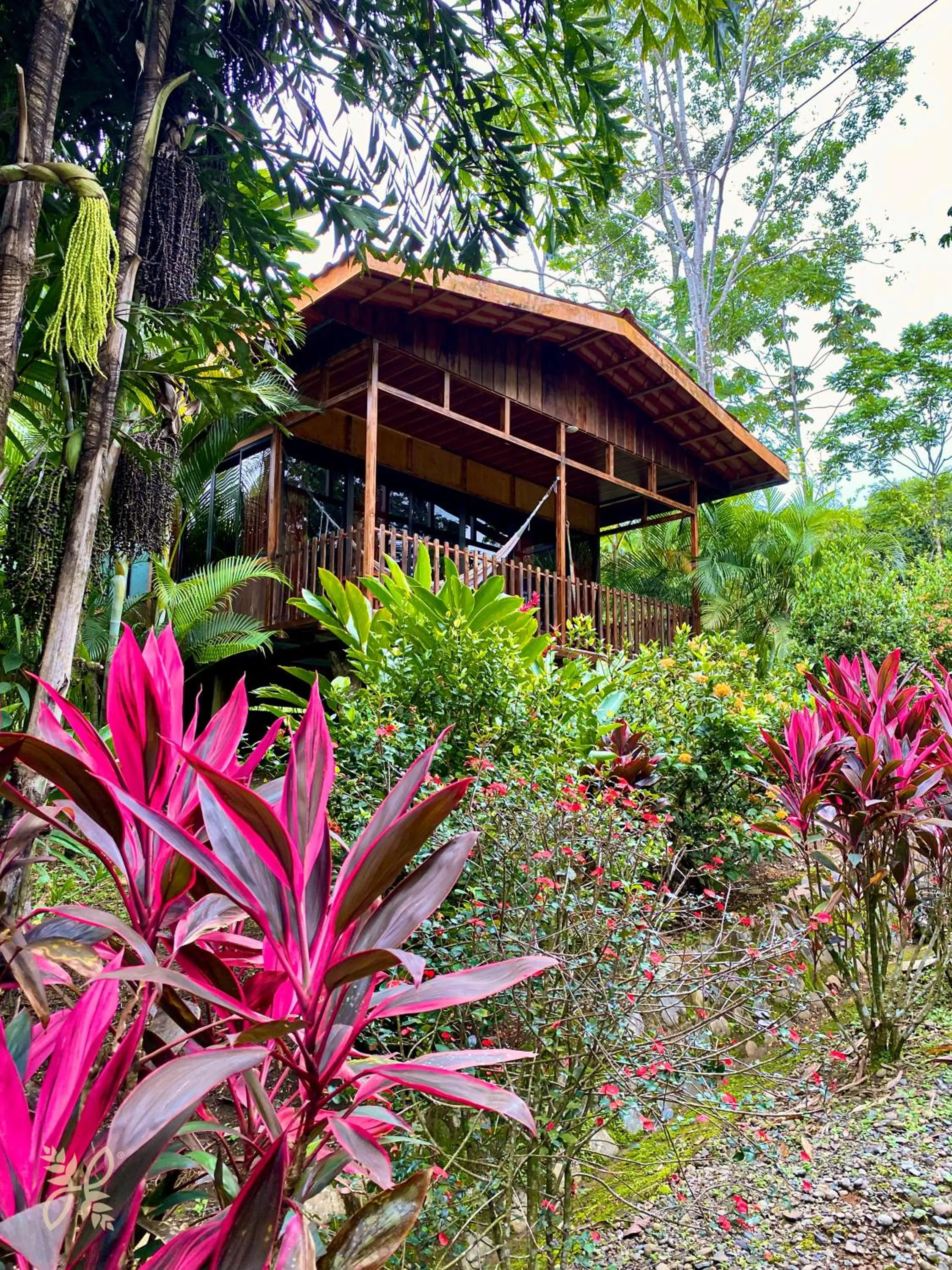 Garden in Hotel Heliconias Nature Inn & Hot Springs