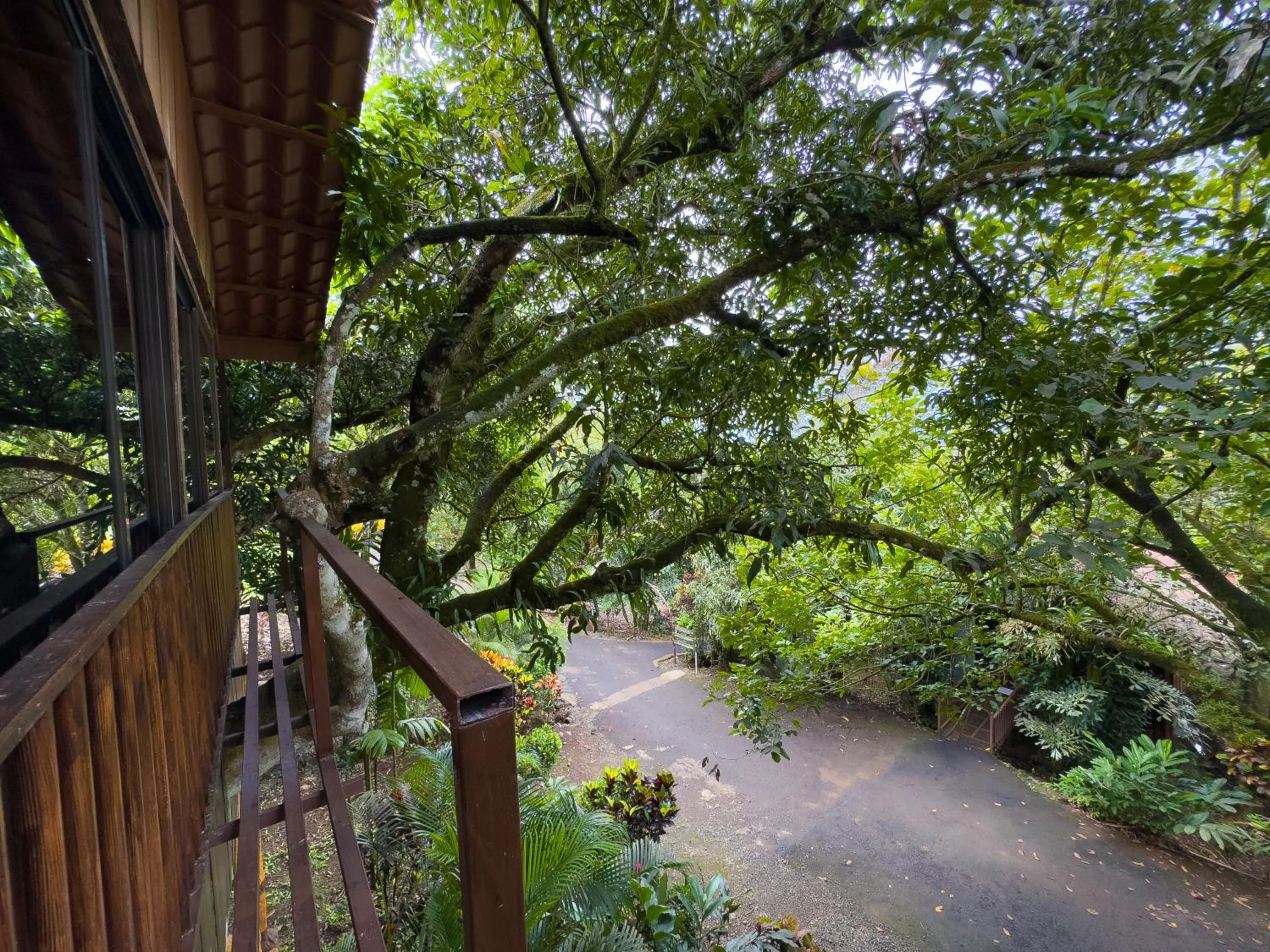Garden view in Hotel Heliconias Nature Inn & Hot Springs