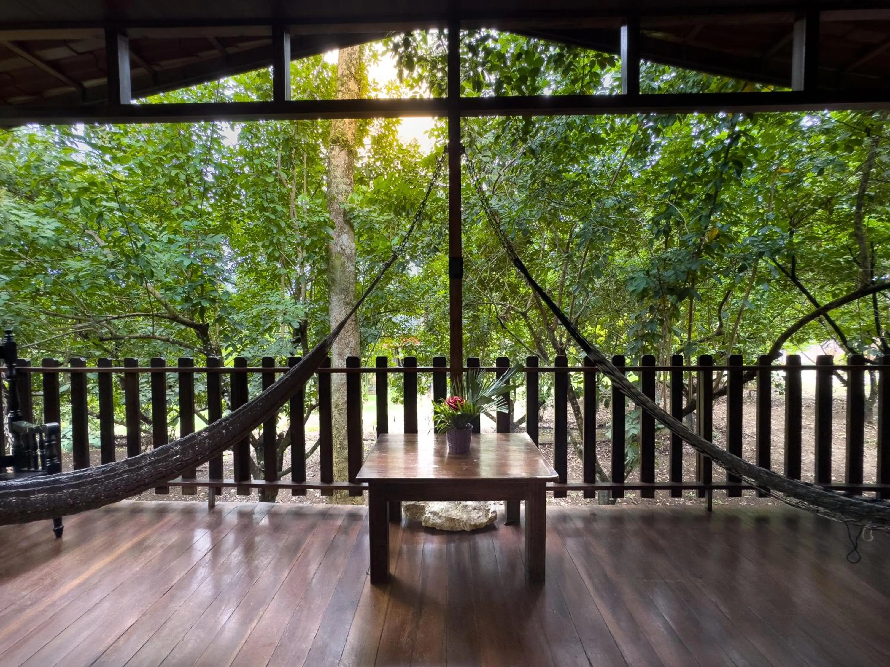 Garden view in Hotel Heliconias Nature Inn & Hot Springs