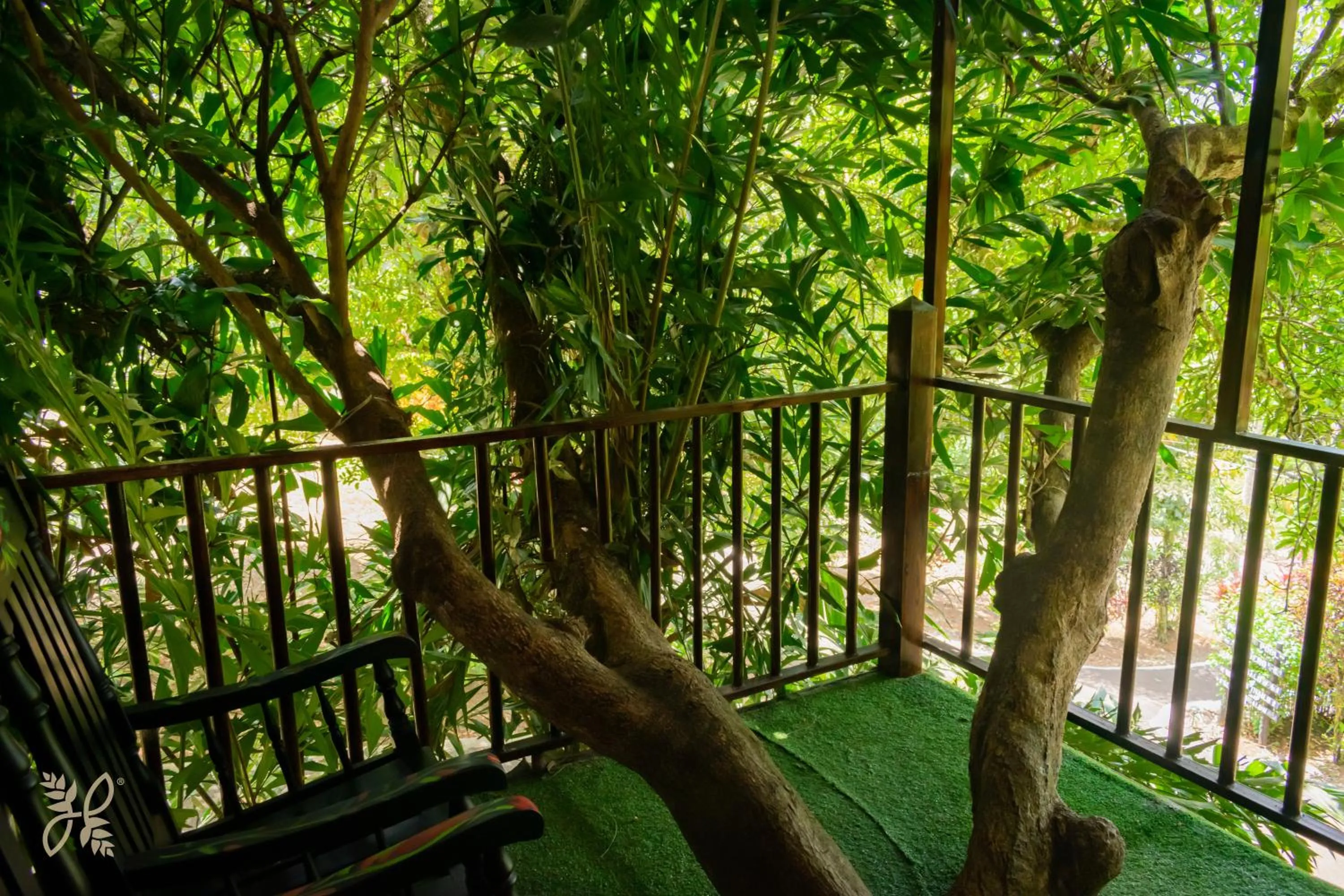 Balcony/Terrace in Hotel Heliconias Nature Inn & Hot Springs