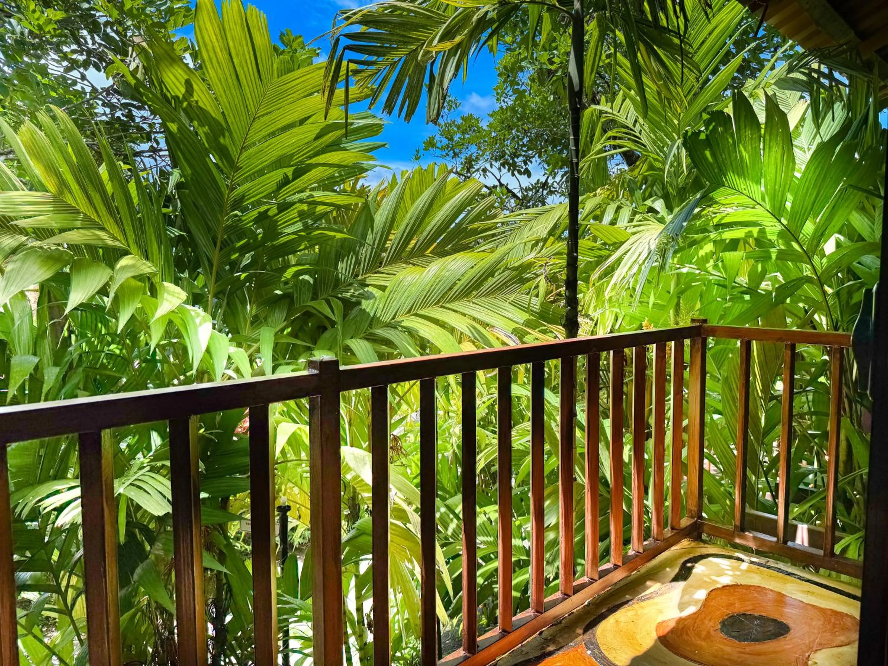 View (from property/room) in Hotel Heliconias Nature Inn & Hot Springs