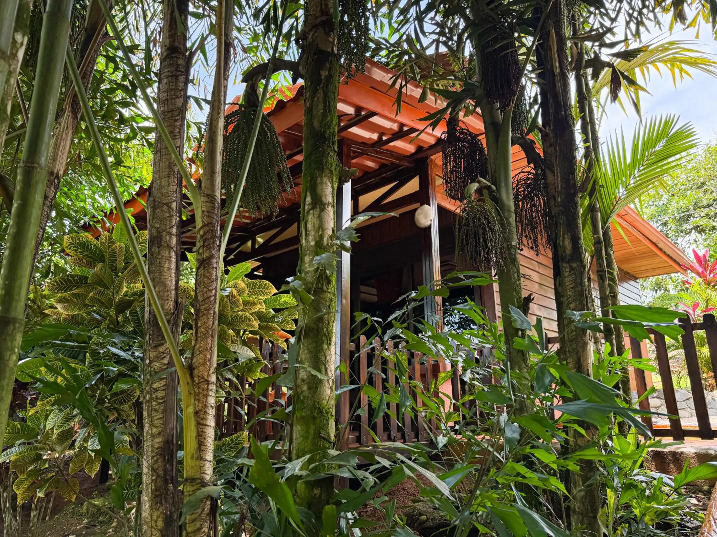 Garden view in Hotel Heliconias Nature Inn & Hot Springs