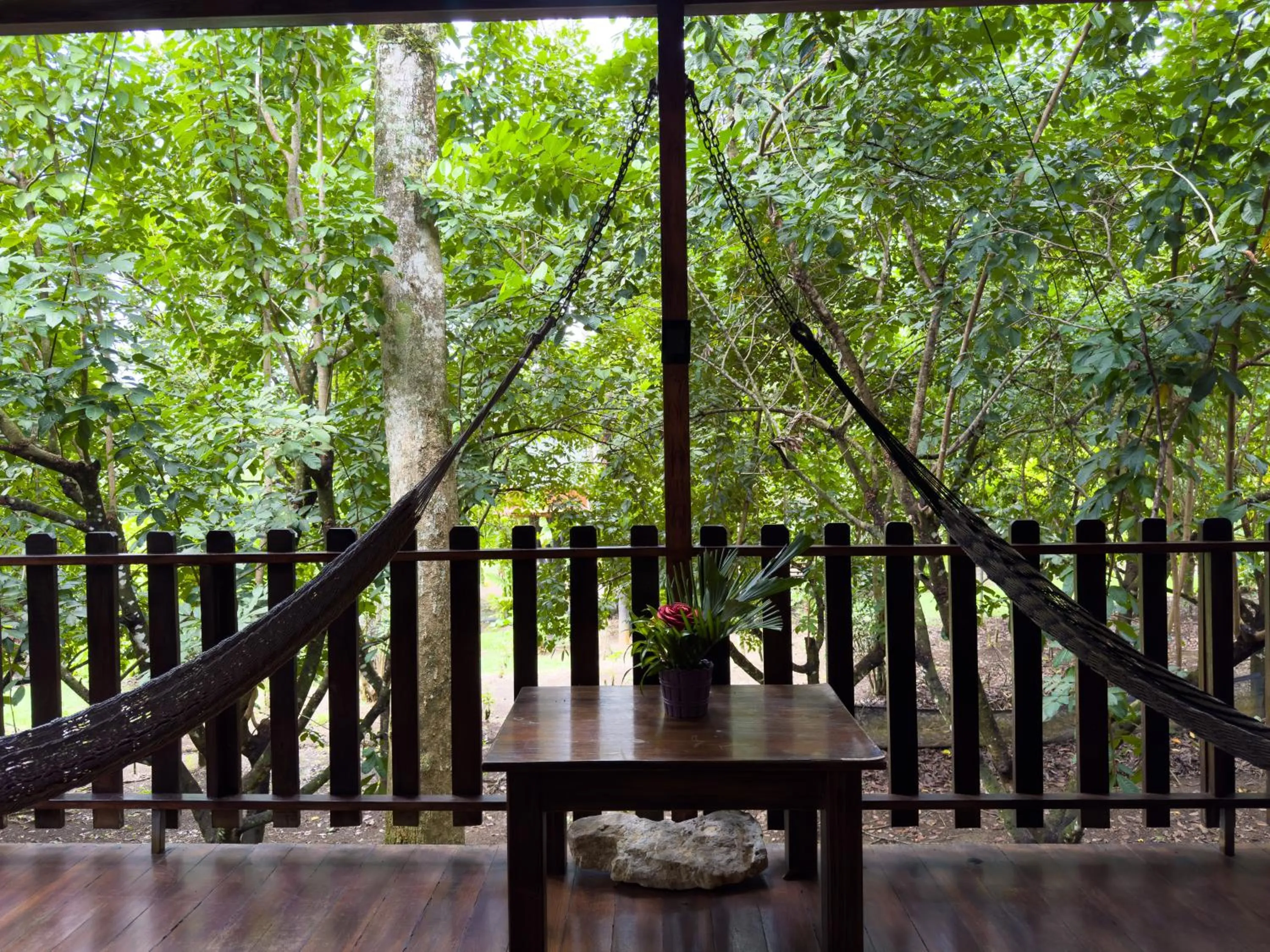 Spring in Hotel Heliconias Nature Inn & Hot Springs