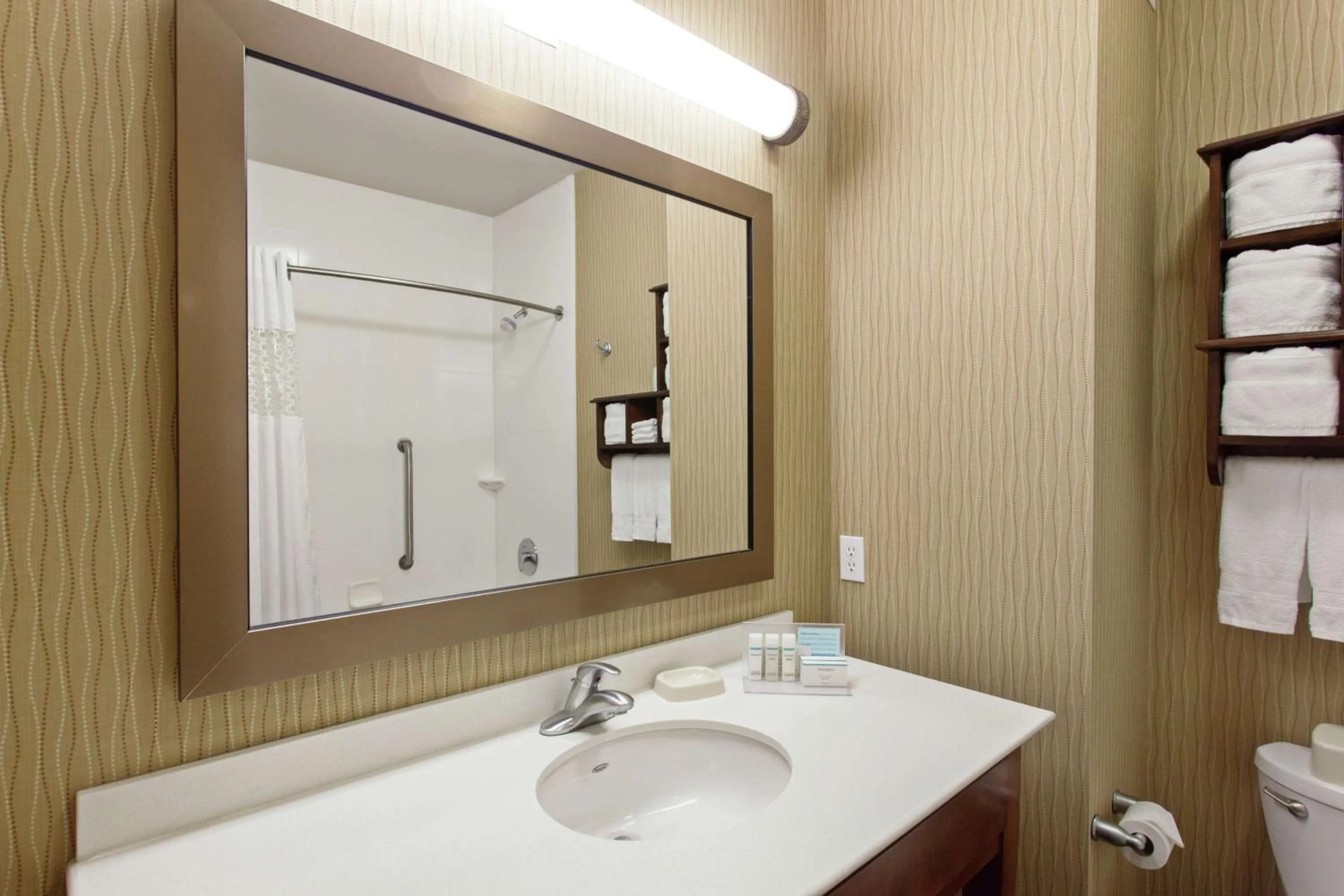 Bathroom in Hampton Inn Seattle/Everett Downtown