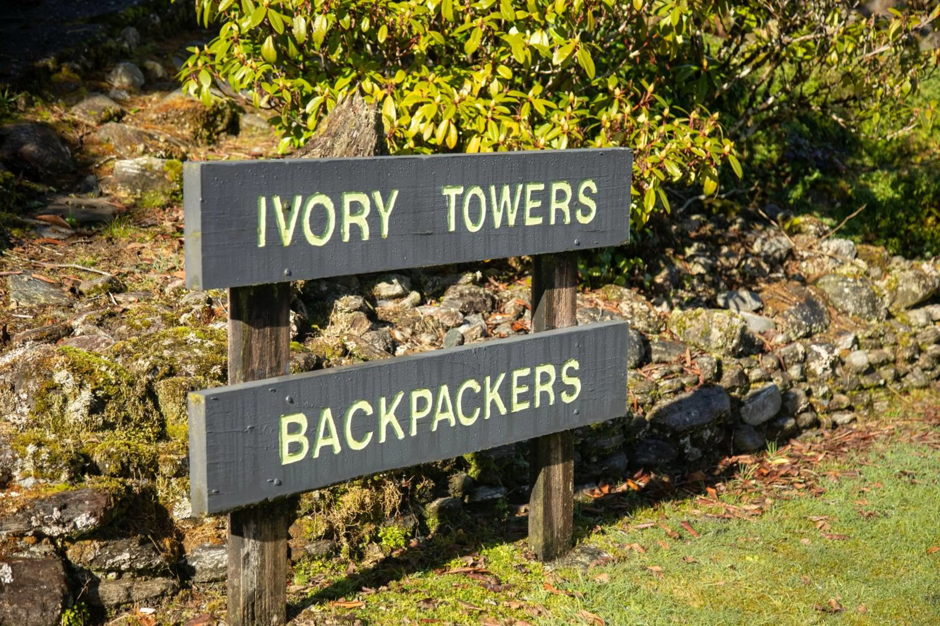 Logo/Certificate/Sign in Ivorytowers Accommodation