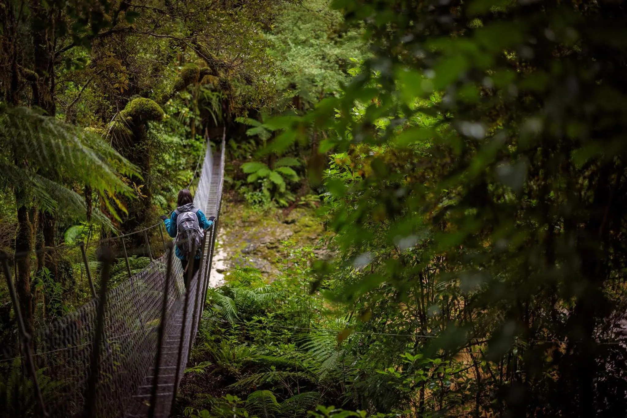 Natural landscape in Ivorytowers Accommodation