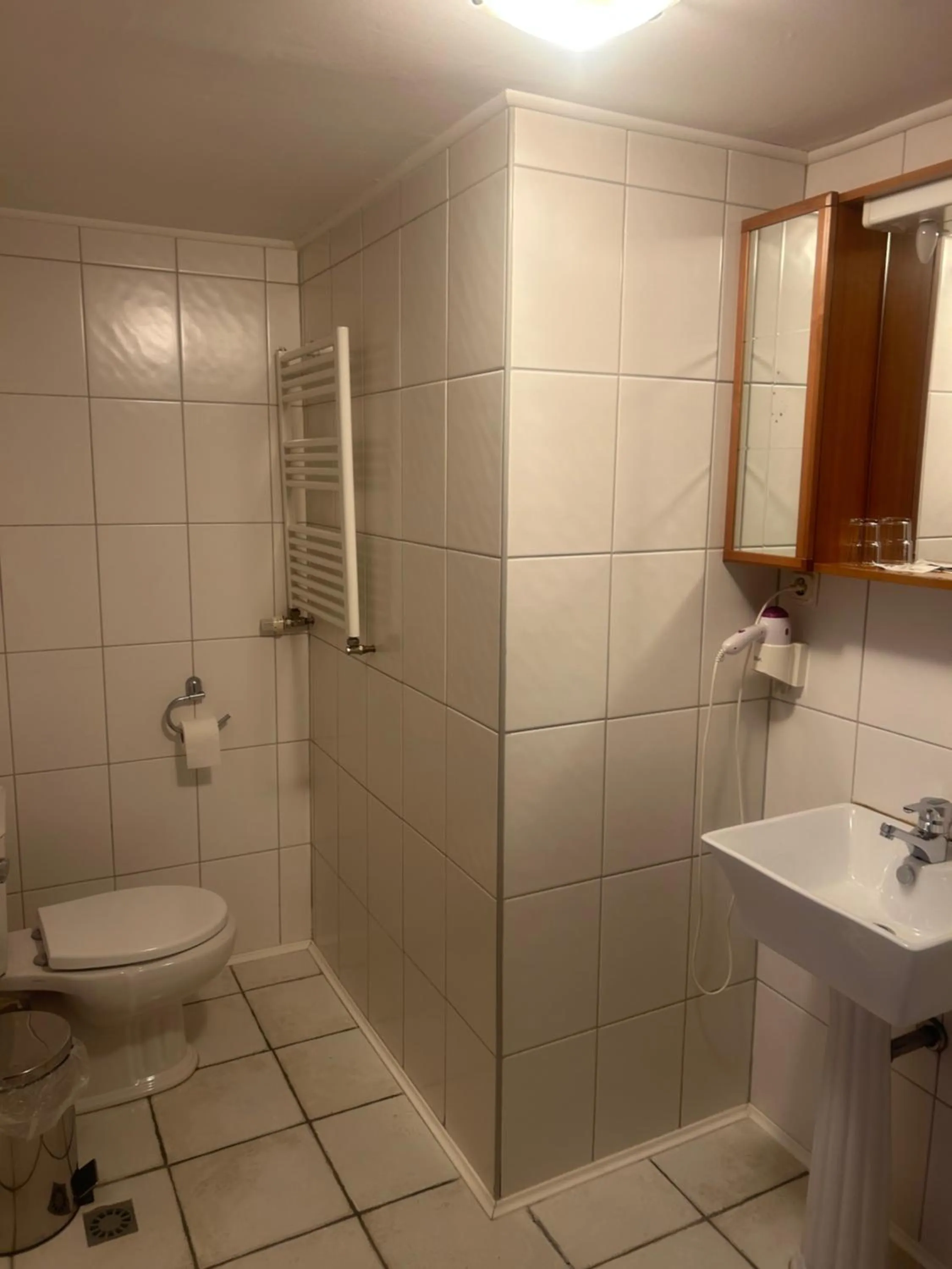Toilet in Gasthof zur Post