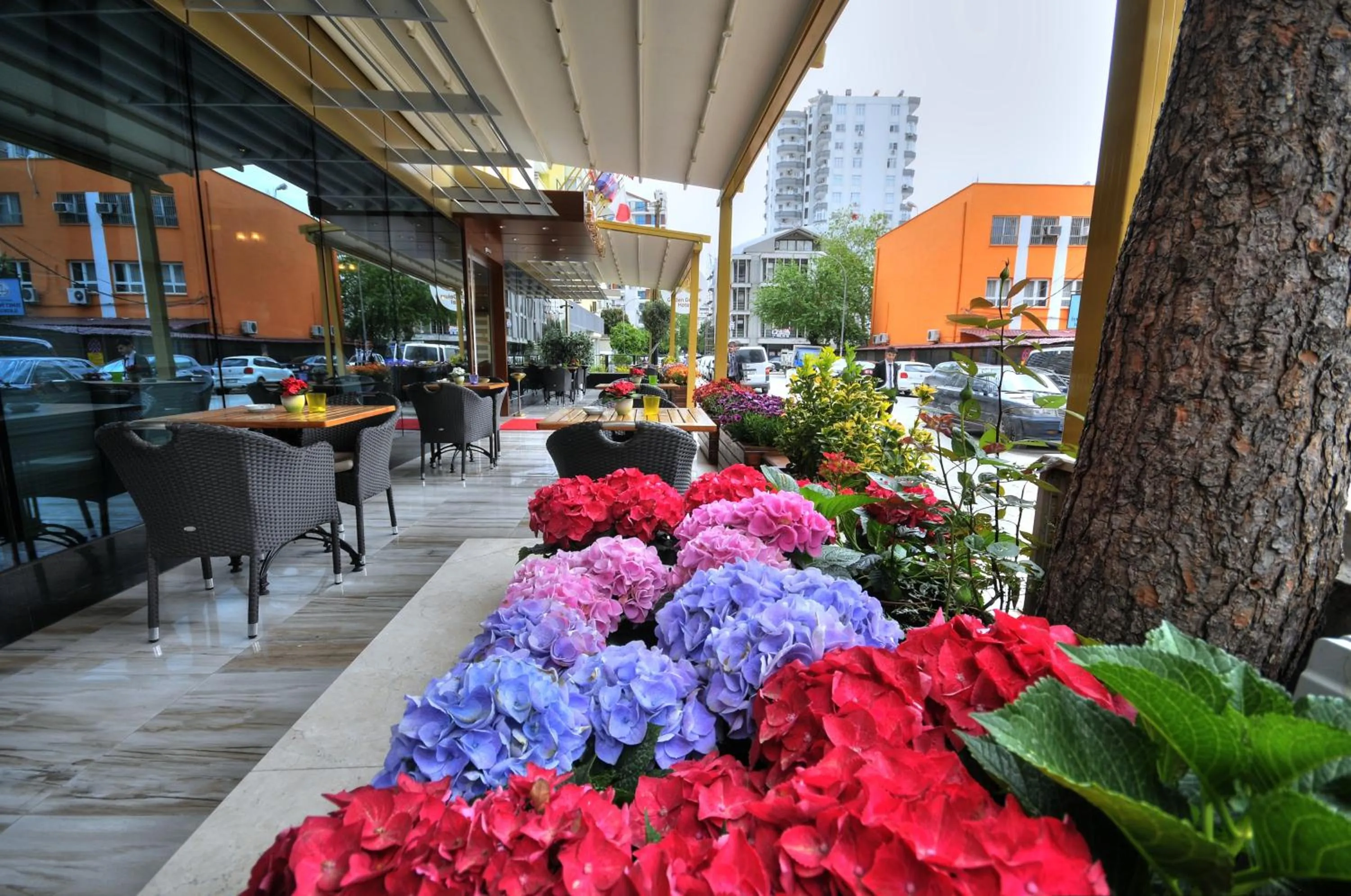 Balcony/Terrace in Golden Deluxe Hotel