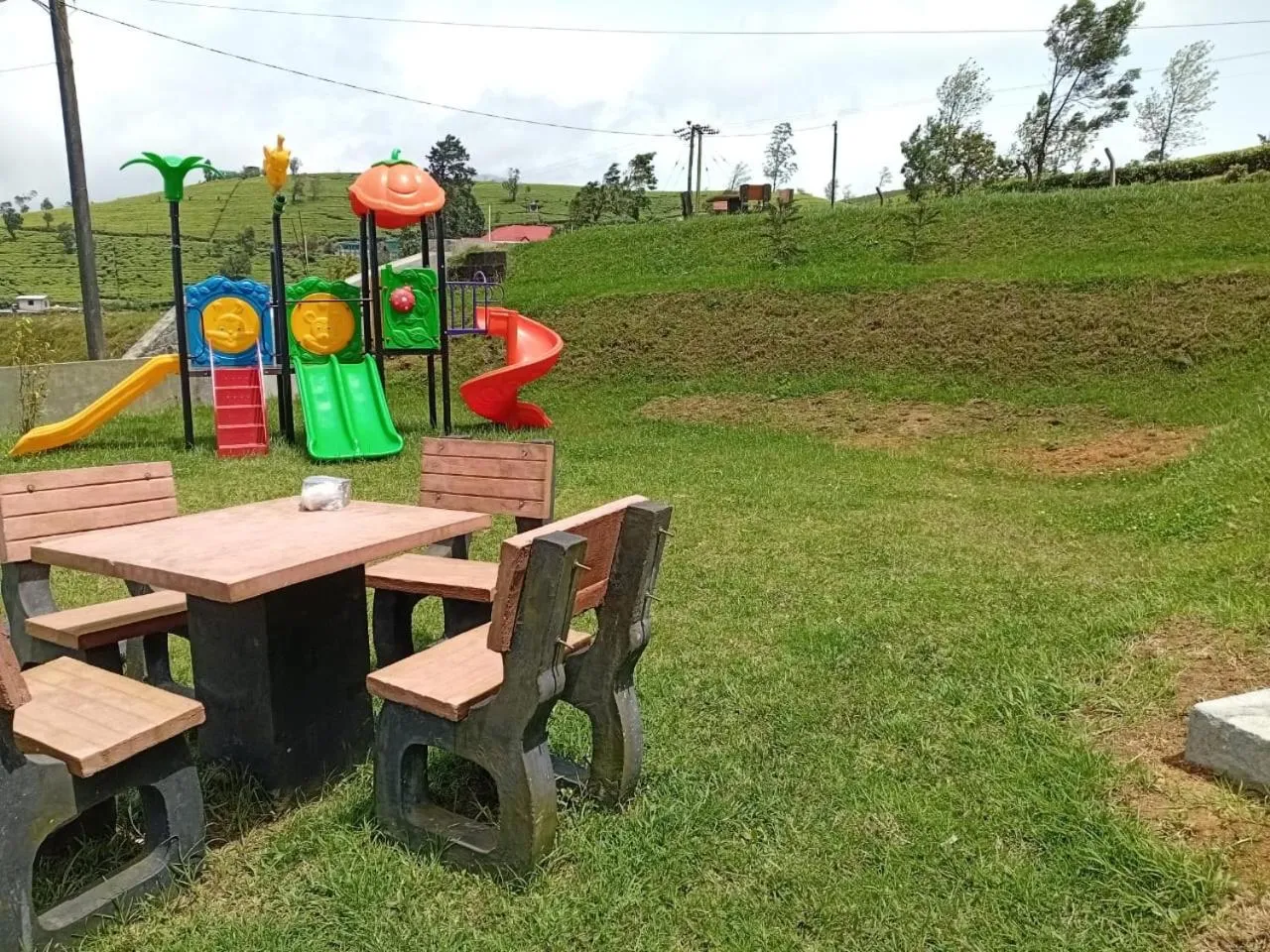 Natural landscape in Queens Lake Cabin
