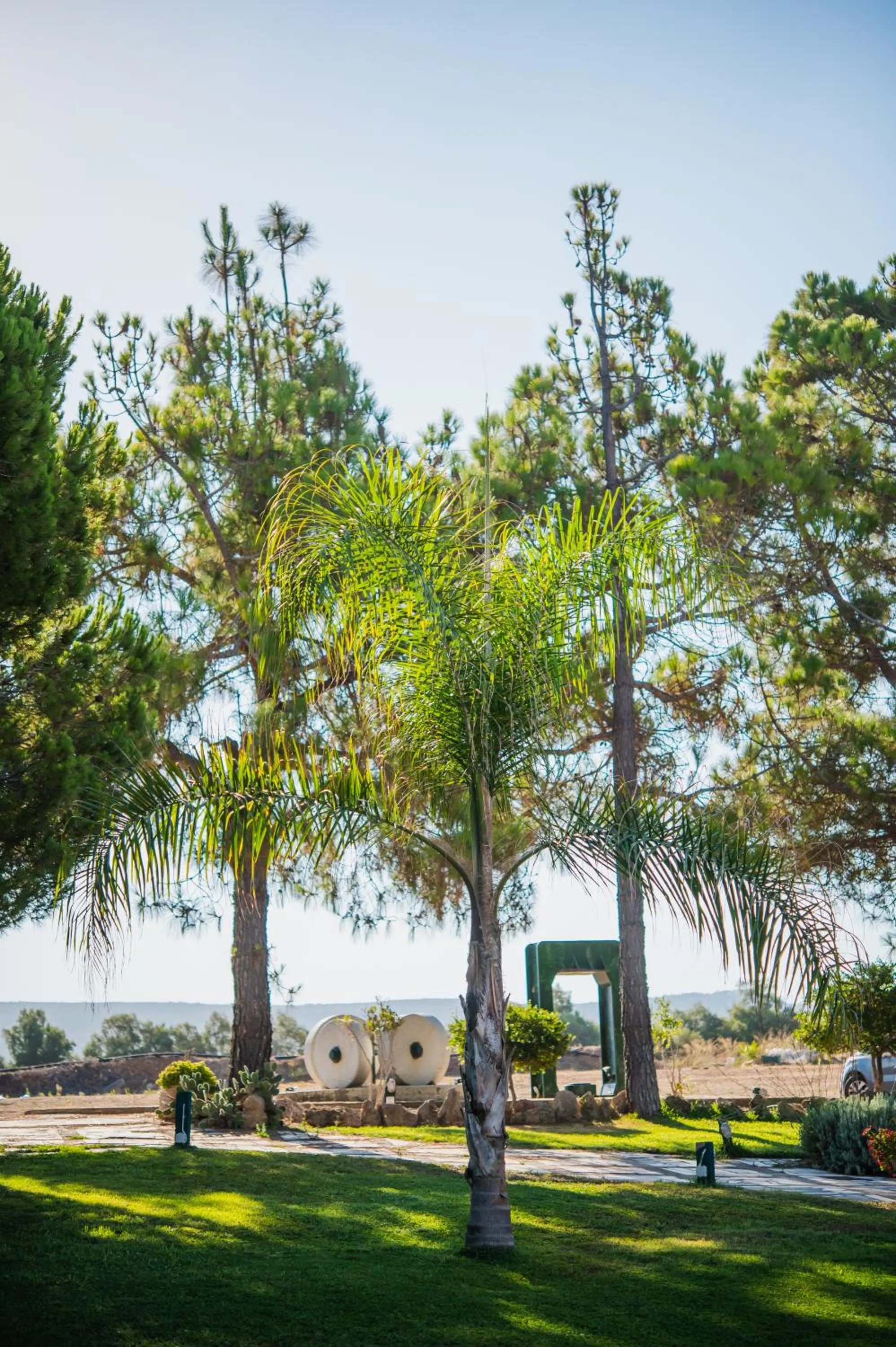 Garden view in Mesogeios Hotel